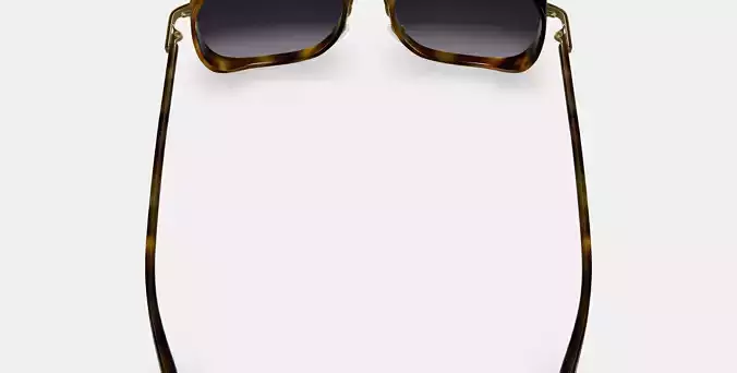Fernanda Sunglasses in Cognac Tortoise with Polished Gold