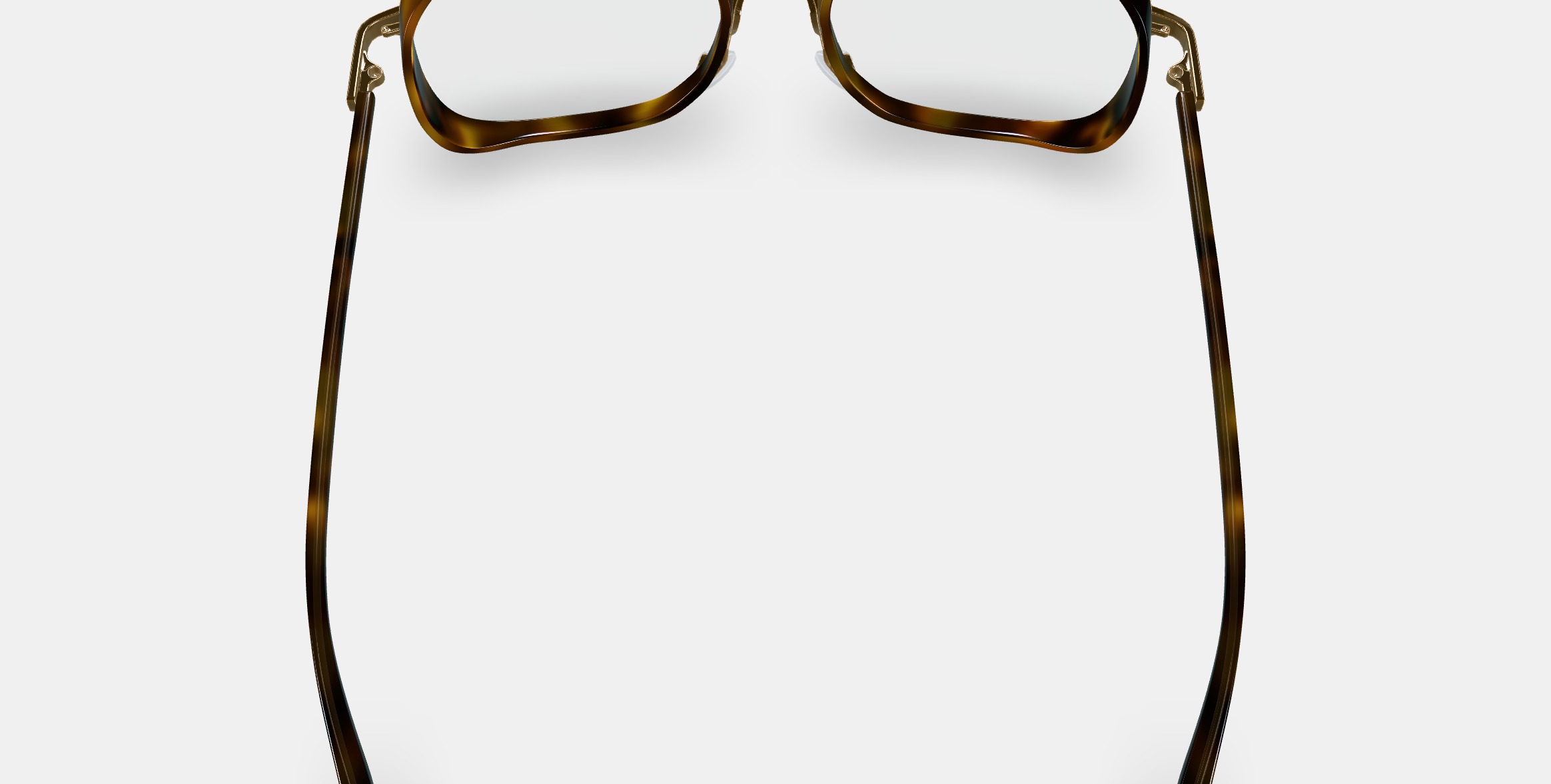 Fernanda Eyeglasses in Cognac Tortoise with Polished Gold 3D model_7