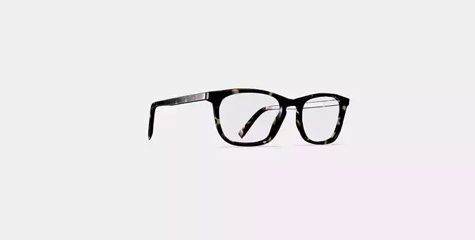 Welty Eyeglasses in Whiskey Tortoise 3D model