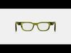 Herman Eyeglasses in Striped Artichoke 3D model_1