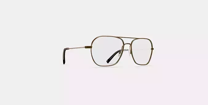 Abe Eyeglasses in Polished Gold