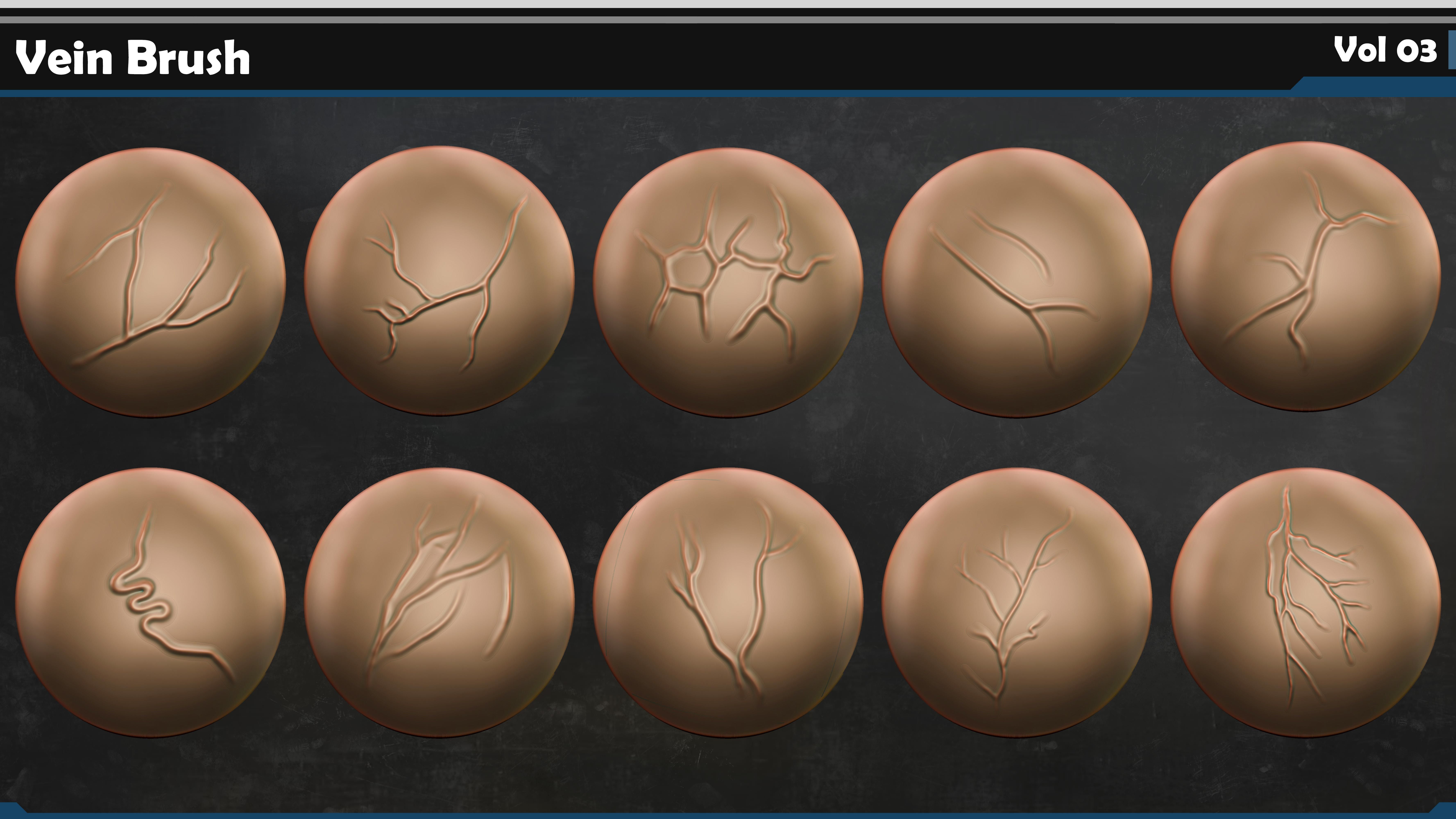Vein VDM Brush-Alpha Vol 03 3D model_3