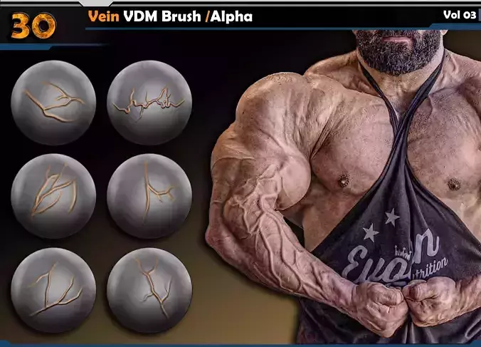 Vein VDM Brush-Alpha Vol 03 3D model