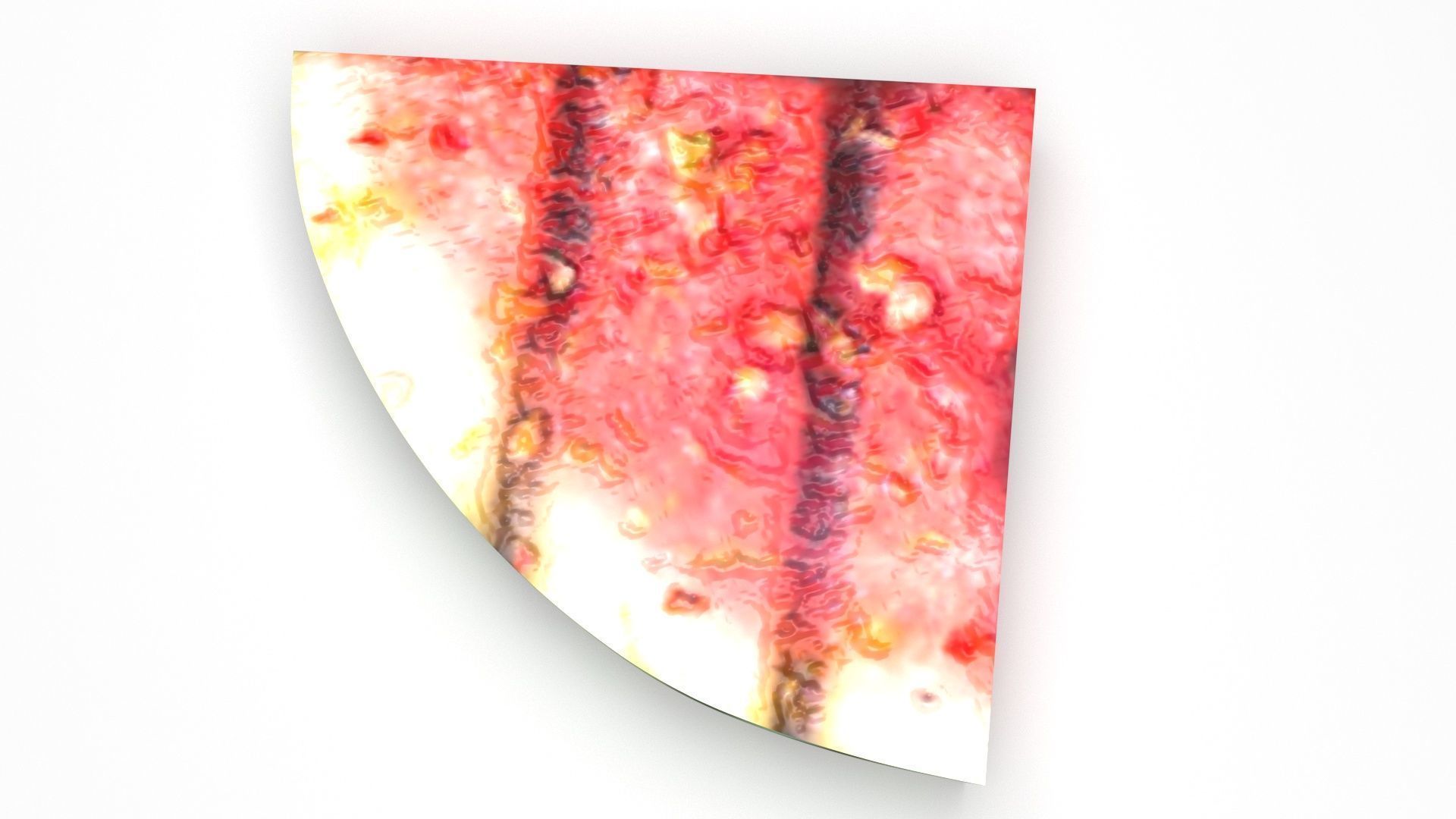 Grilled Watermelon 3D model_3