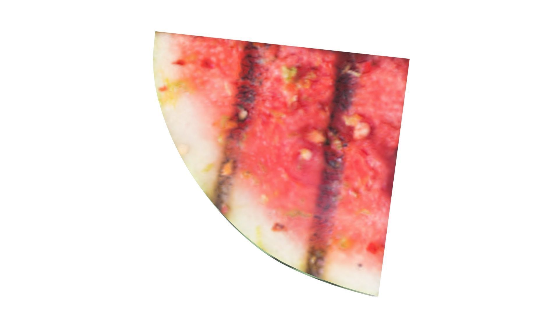 Grilled Watermelon 3D model_10
