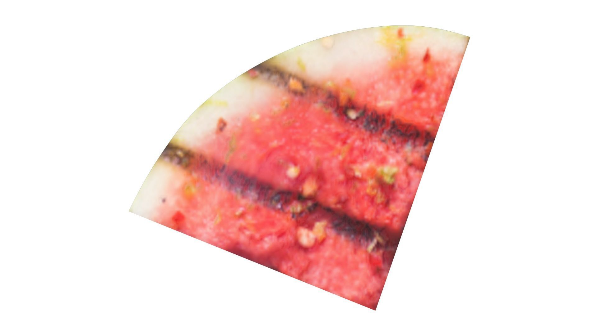 Grilled Watermelon 3D model_13