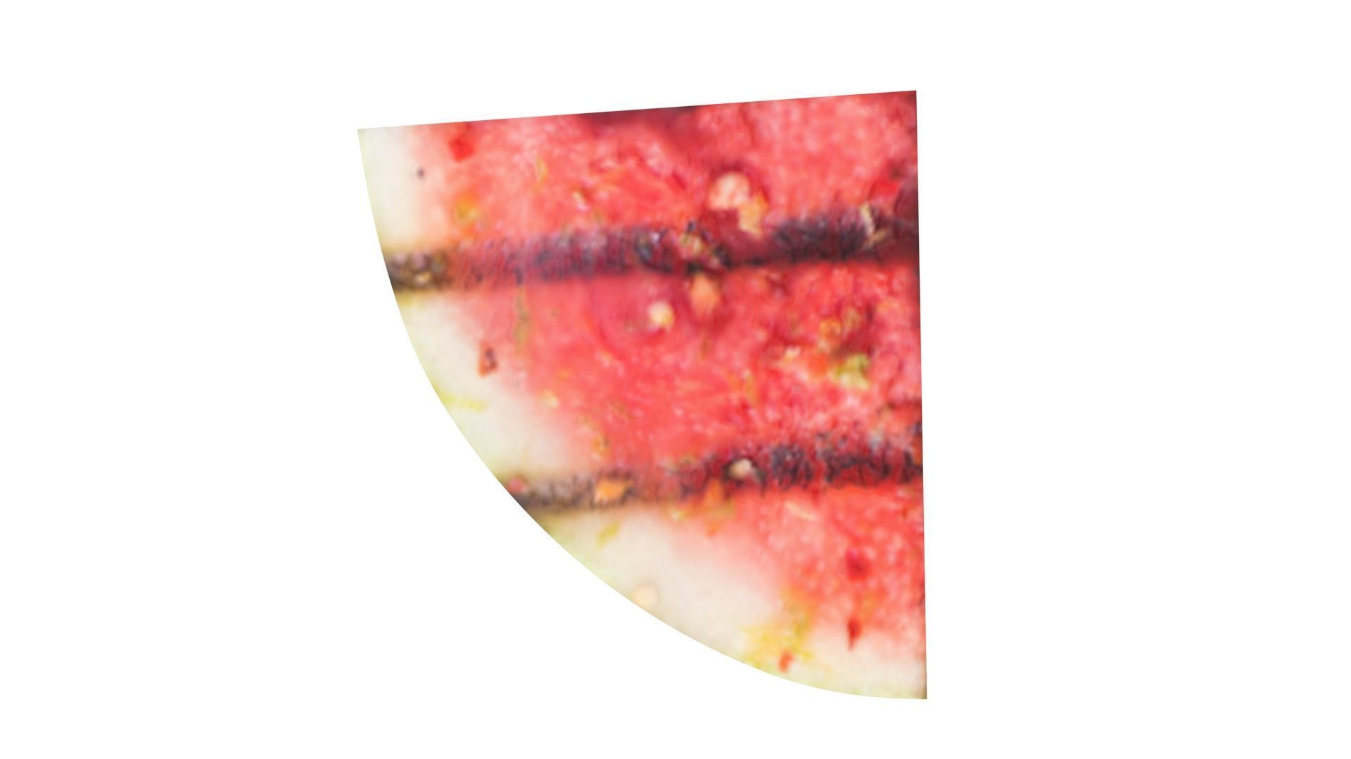 Grilled Watermelon 3D model_11