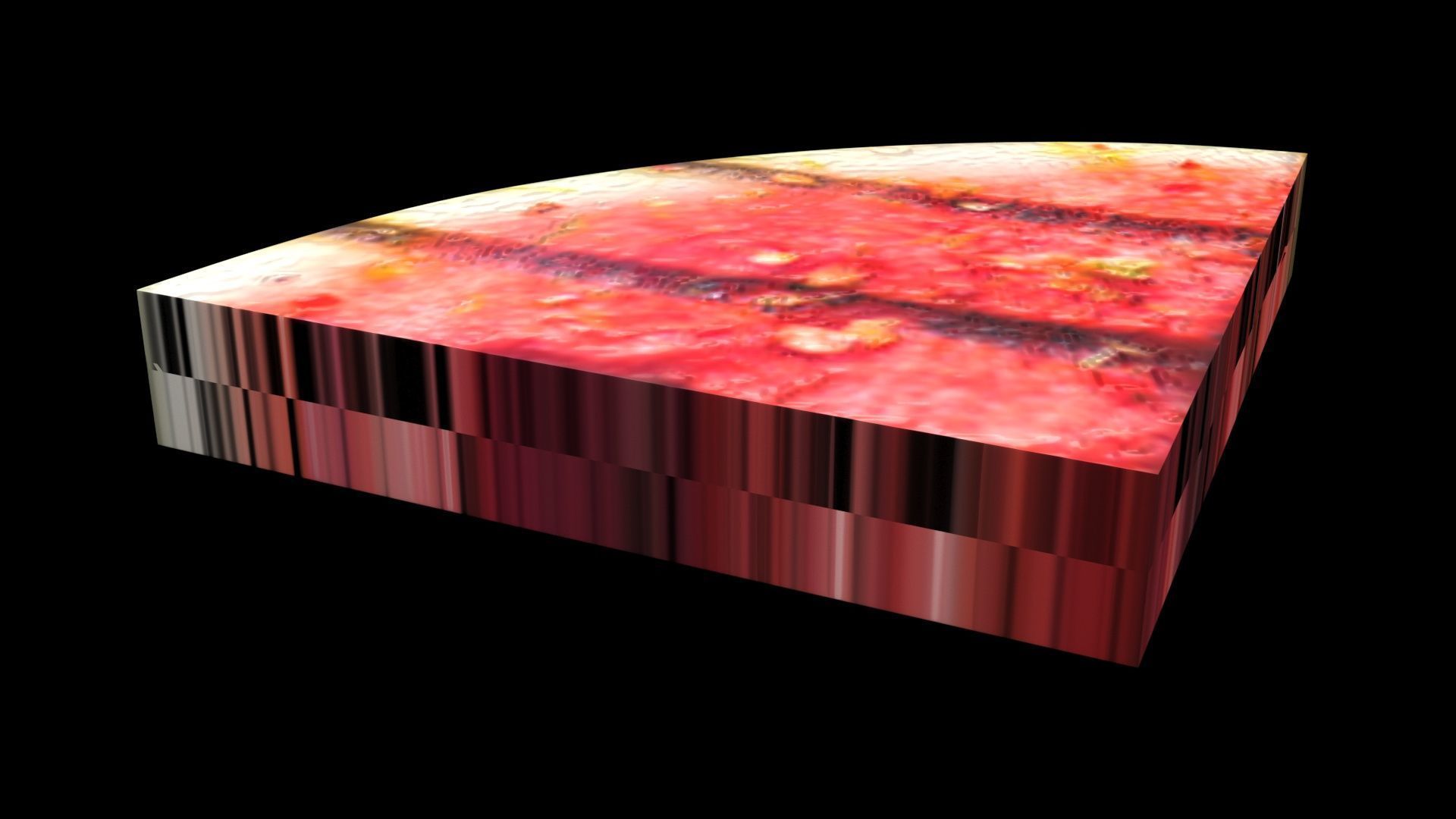 Grilled Watermelon 3D model_6
