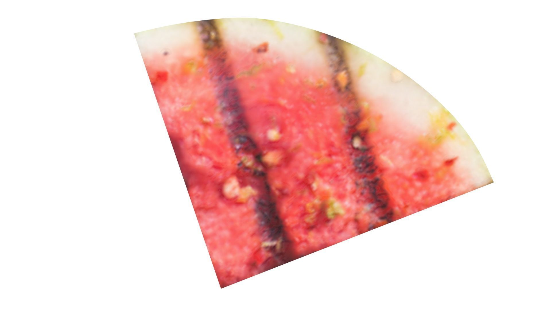 Grilled Watermelon 3D model_8