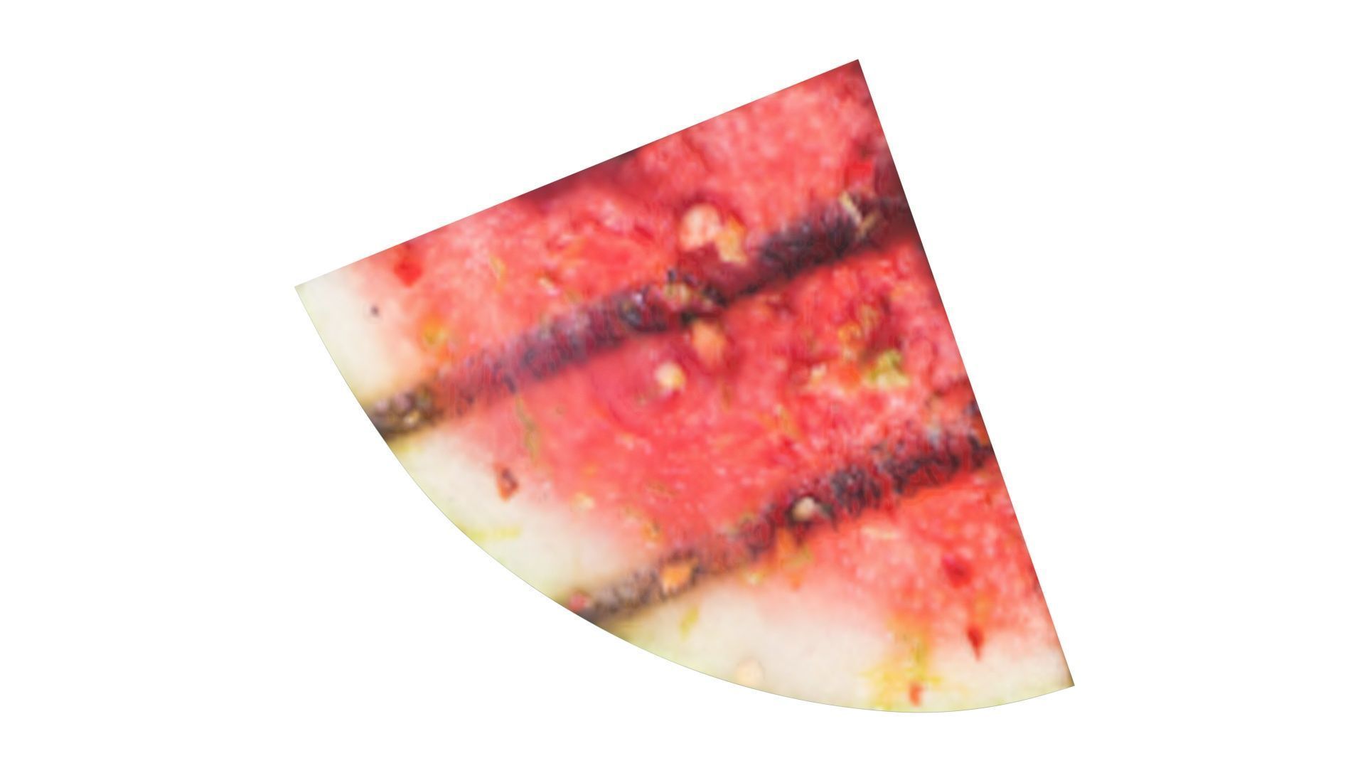 Grilled Watermelon 3D model_16