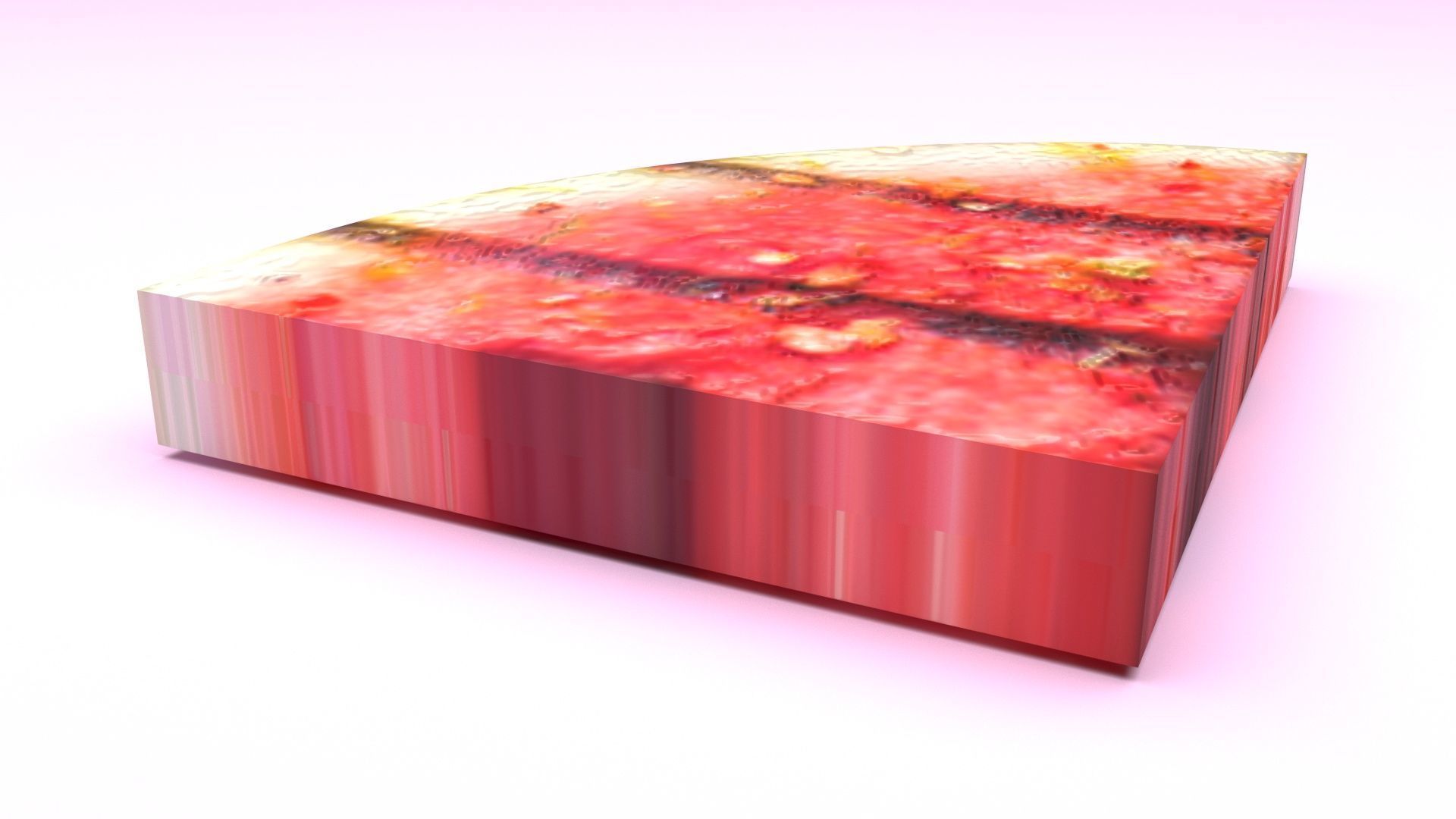 Grilled Watermelon 3D model_5