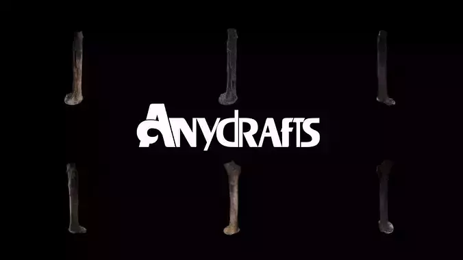 Cinnamomum Burmannii Trunk