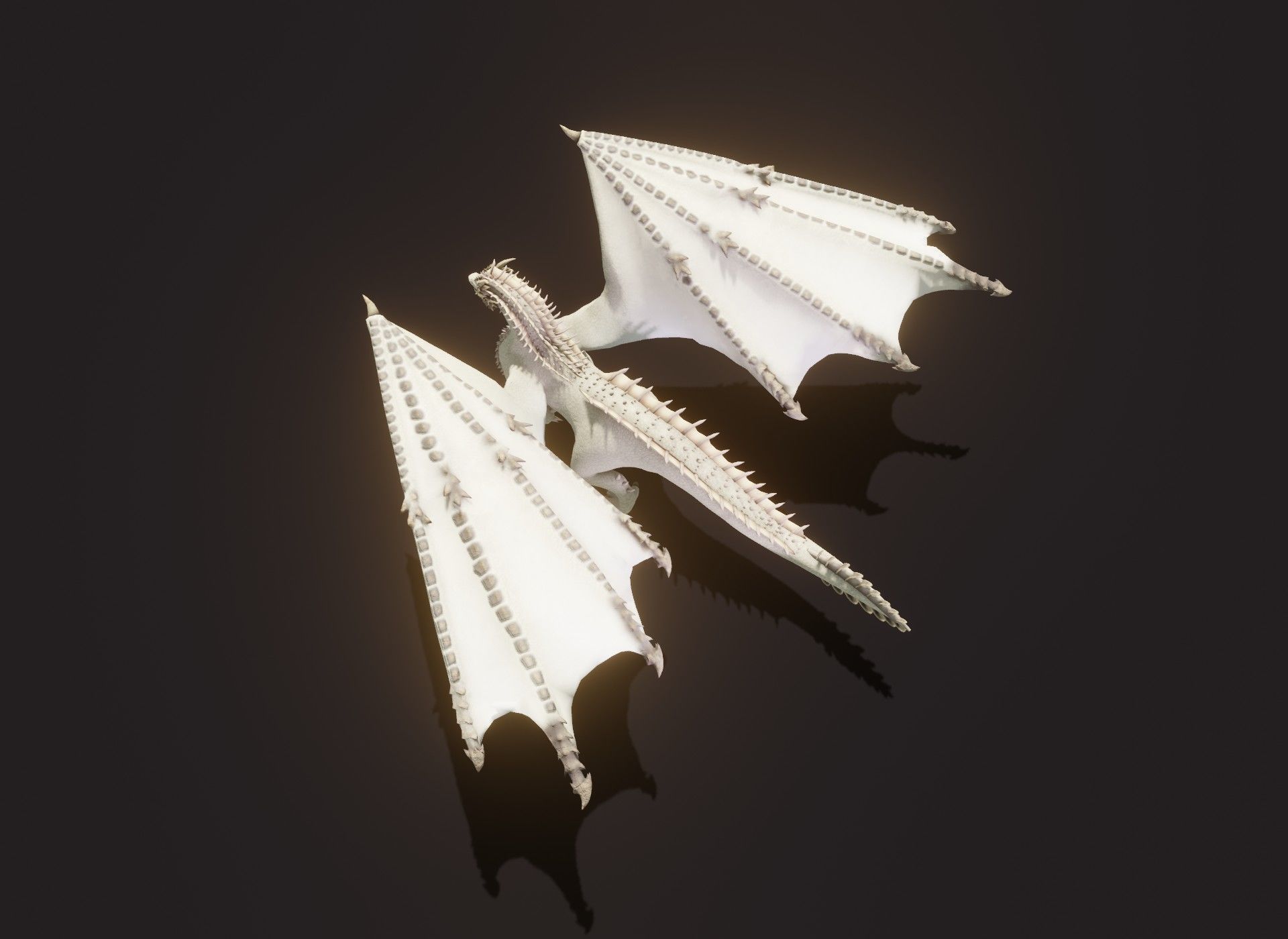 Realistic White Dragon Animated 3D Model Low-poly 3D model_14