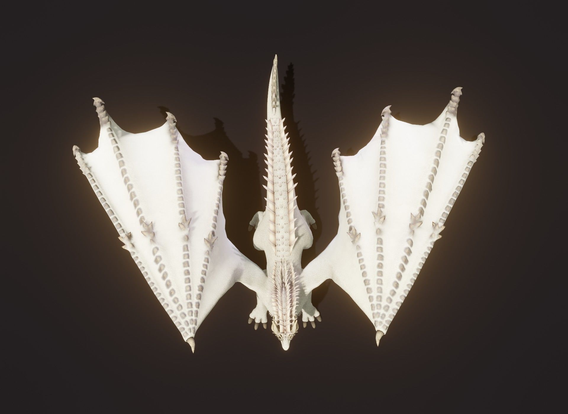 Realistic White Dragon Animated 3D Model Low-poly 3D model_8