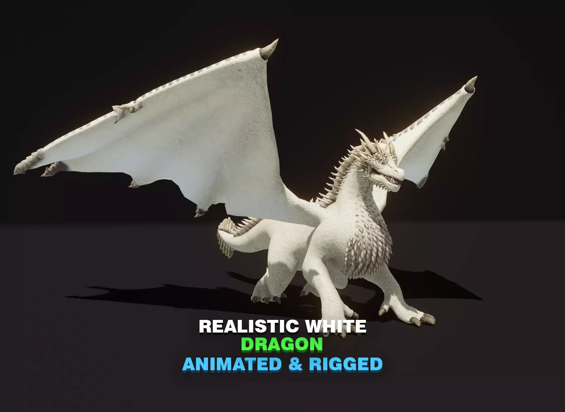 Realistic White Dragon Animated 3D Model Low-poly 3D model_0