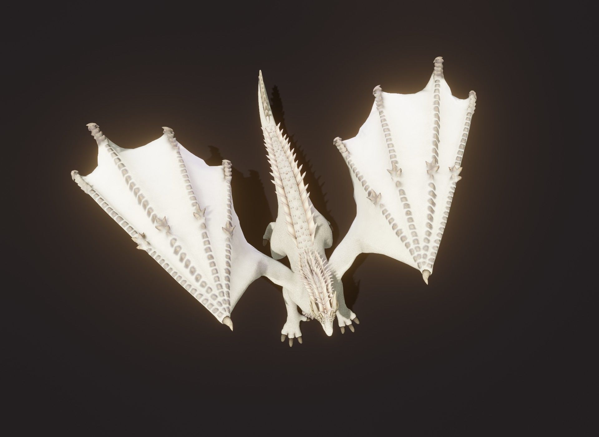 Realistic White Dragon Animated 3D Model Low-poly 3D model_20