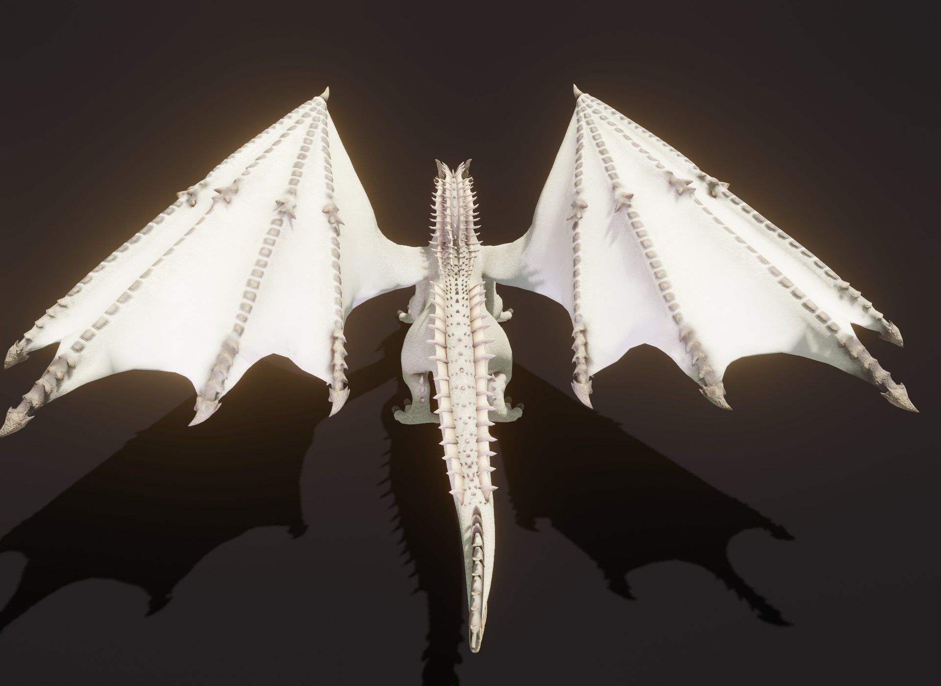 Realistic White Dragon Animated 3D Model Low-poly 3D model_18