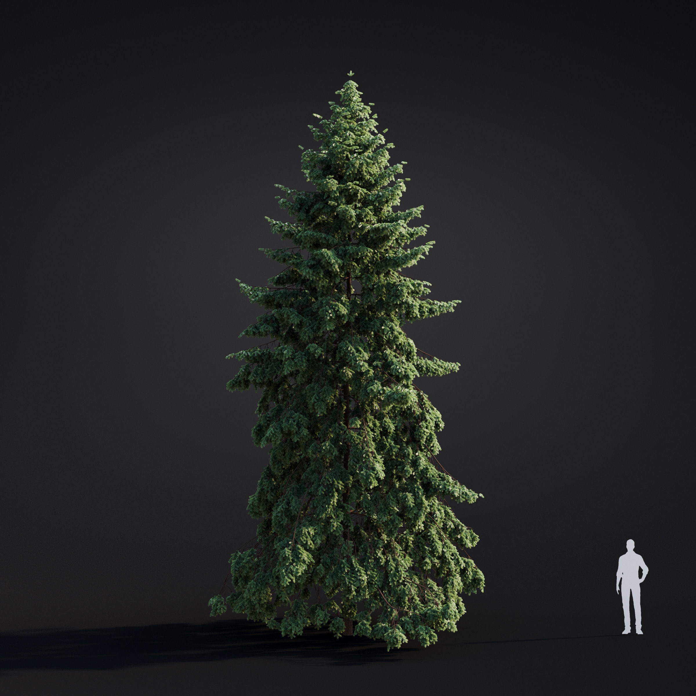 Archmodels vol 283 - collection of spring trees 3D model_34