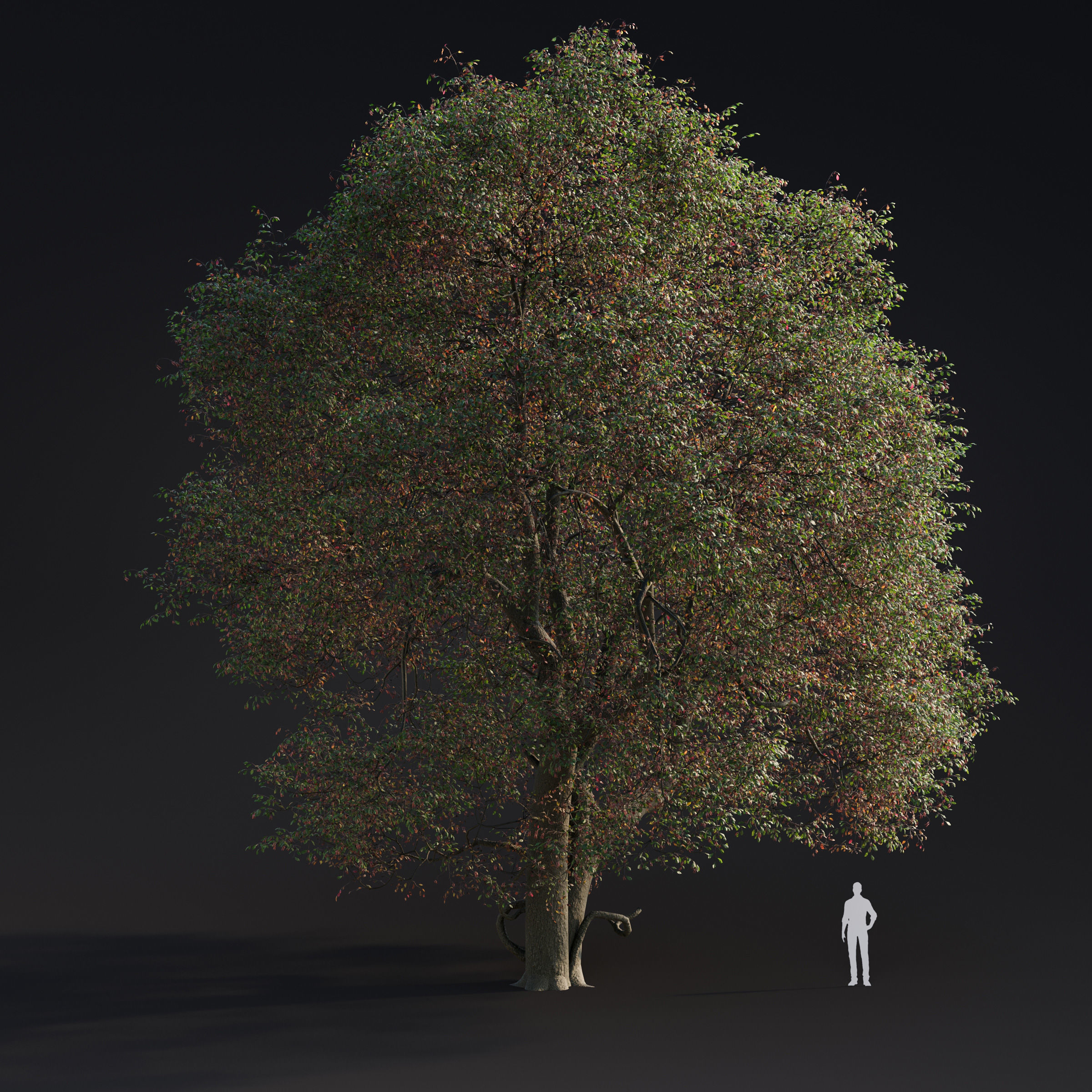 Archmodels vol 283 - collection of spring trees 3D model_4