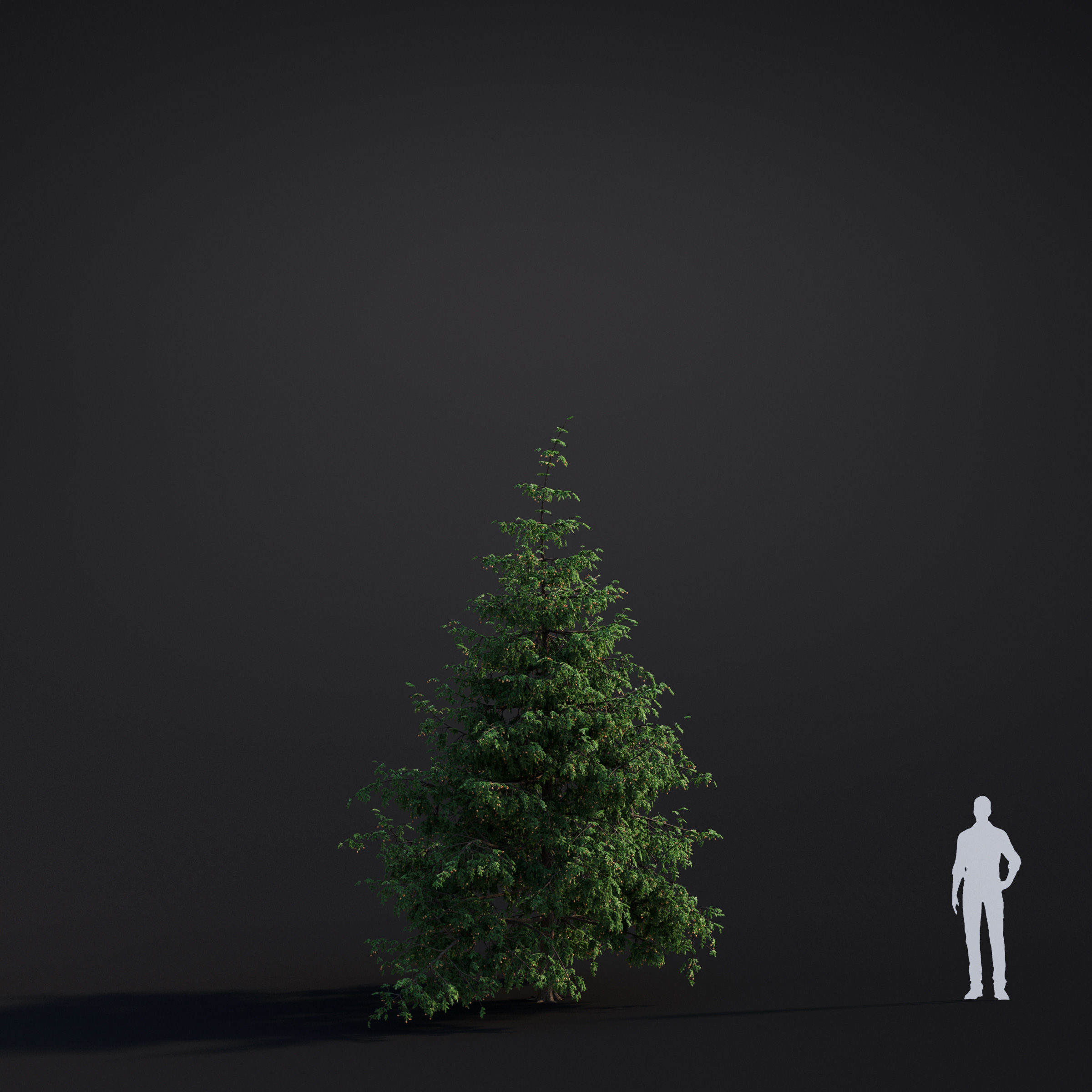 Archmodels vol 283 - collection of spring trees 3D model_43