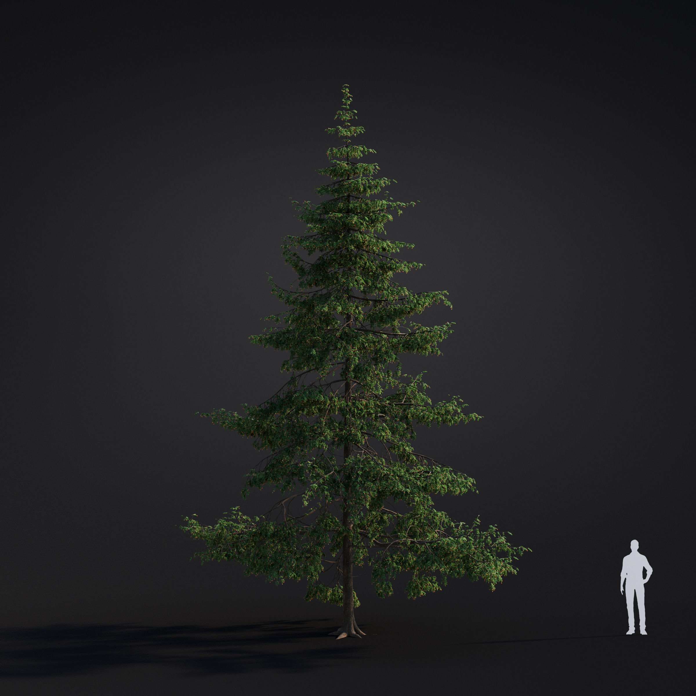Archmodels vol 283 - collection of spring trees 3D model_42