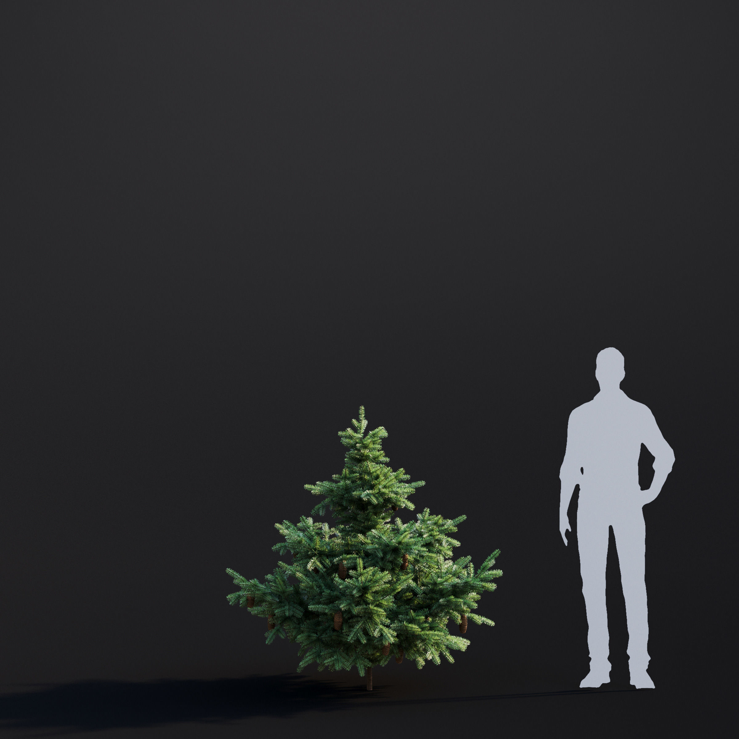 Archmodels vol 283 - collection of spring trees 3D model_36