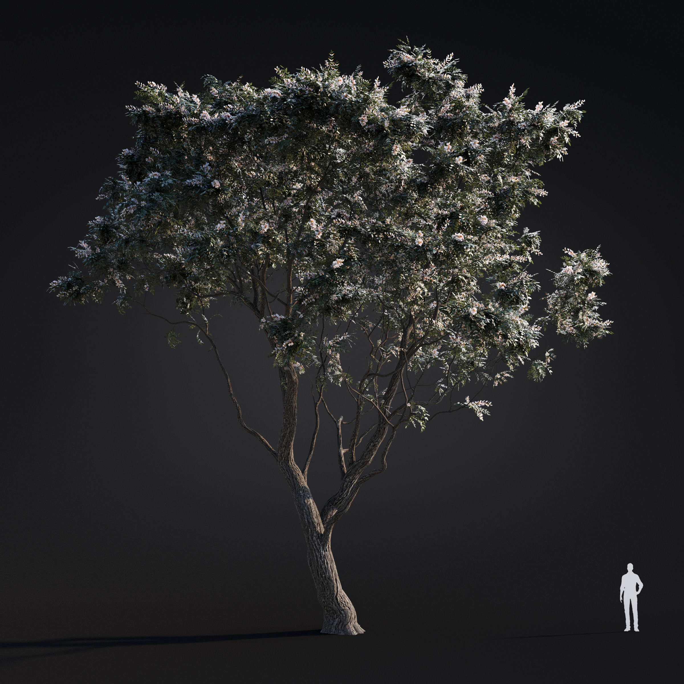 Archmodels vol 283 - collection of spring trees 3D model_45