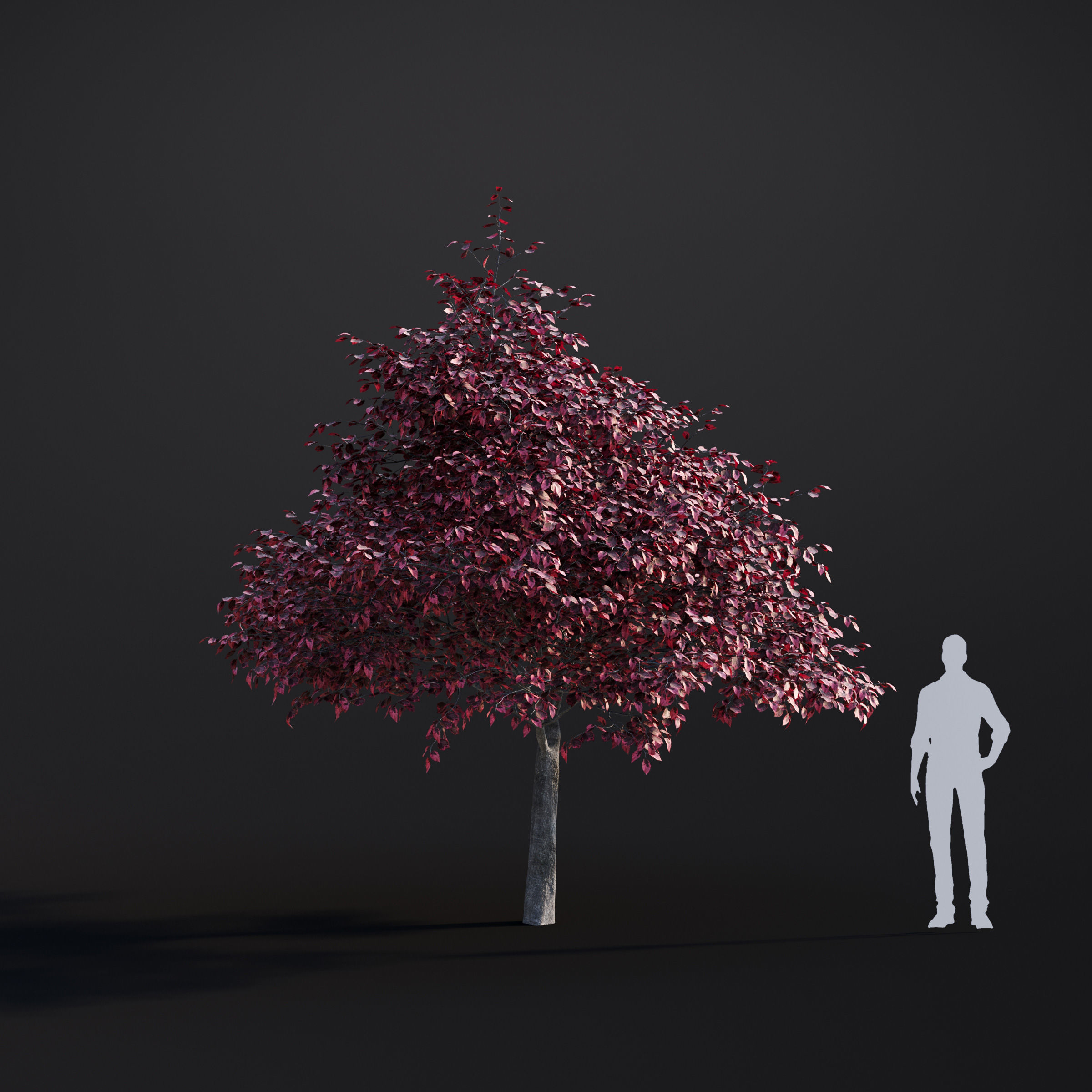 Archmodels vol 283 - collection of spring trees 3D model_37