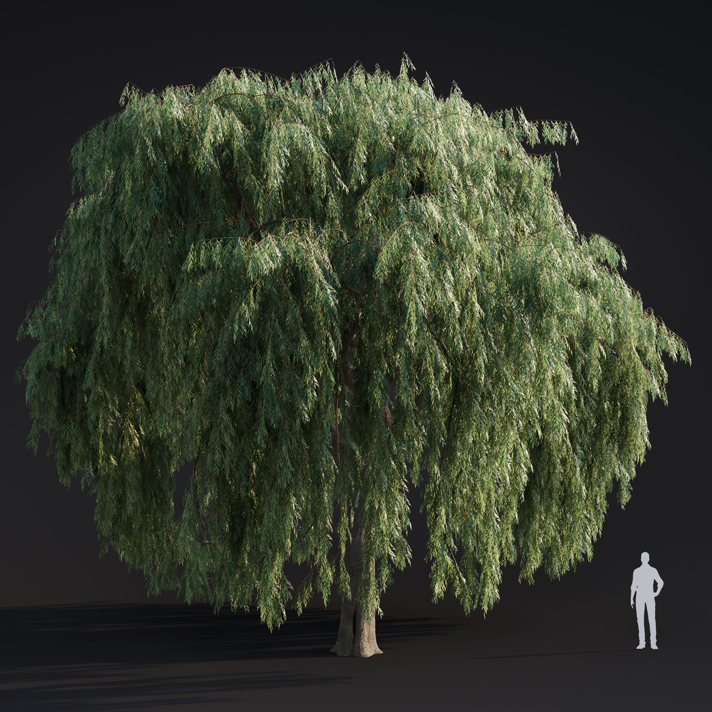 Archmodels vol 283 - collection of spring trees 3D model_19