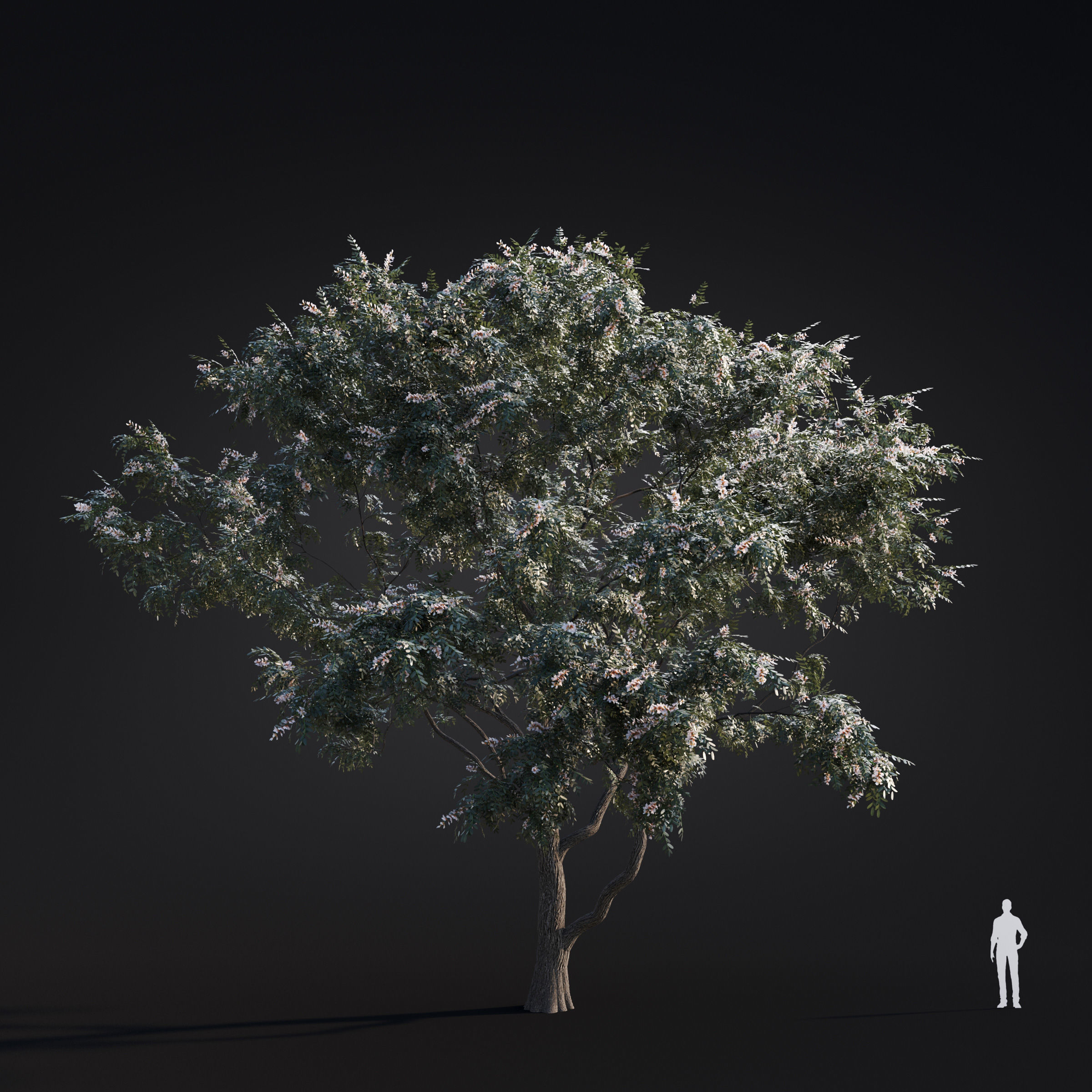 Archmodels vol 283 - collection of spring trees 3D model_46