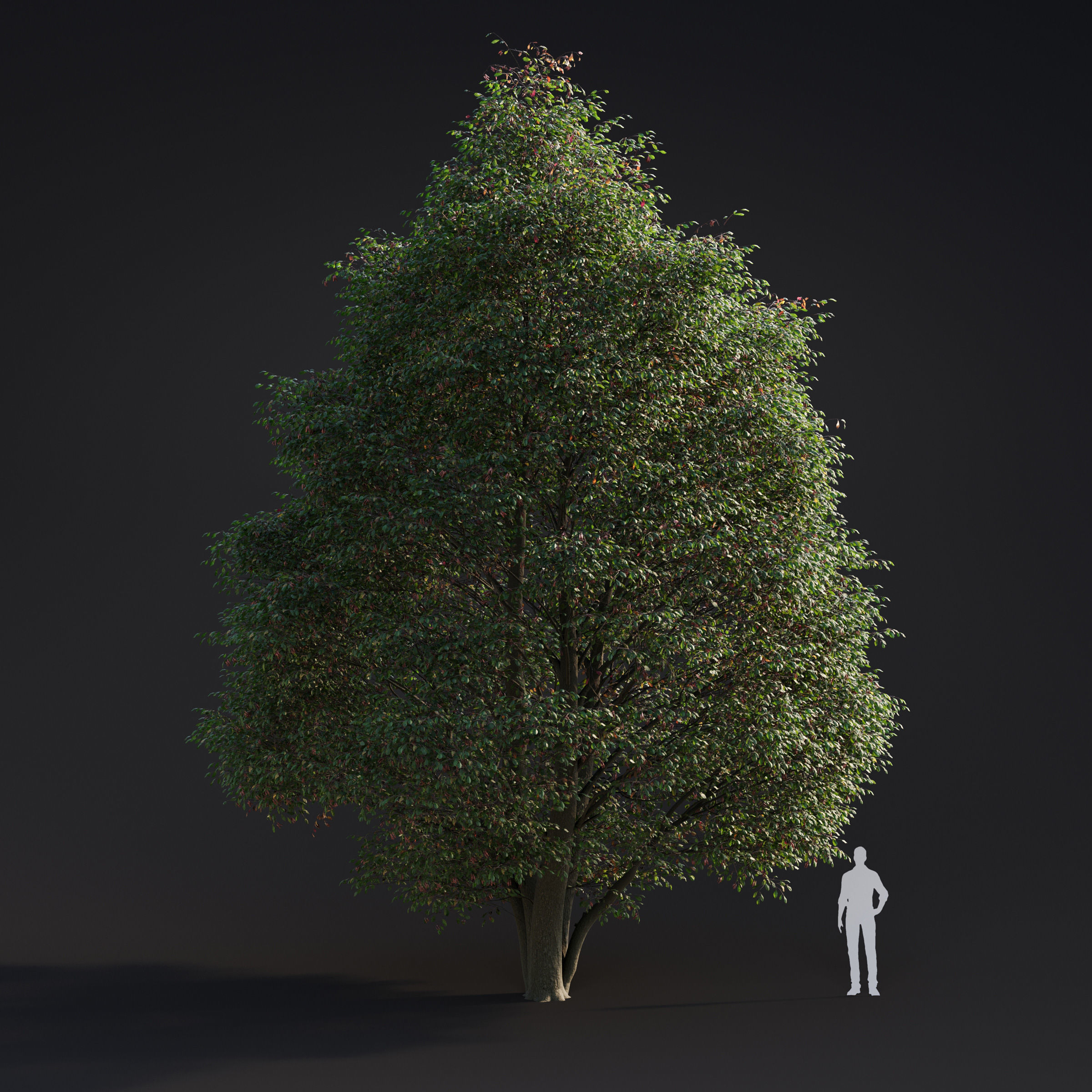 Archmodels vol 283 - collection of spring trees 3D model_2