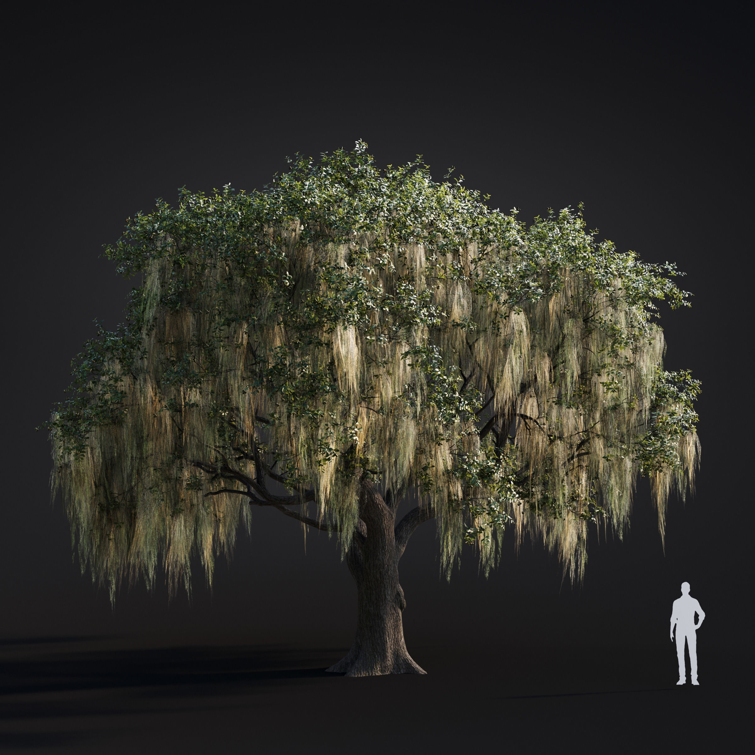 Archmodels vol 283 - collection of spring trees 3D model_56