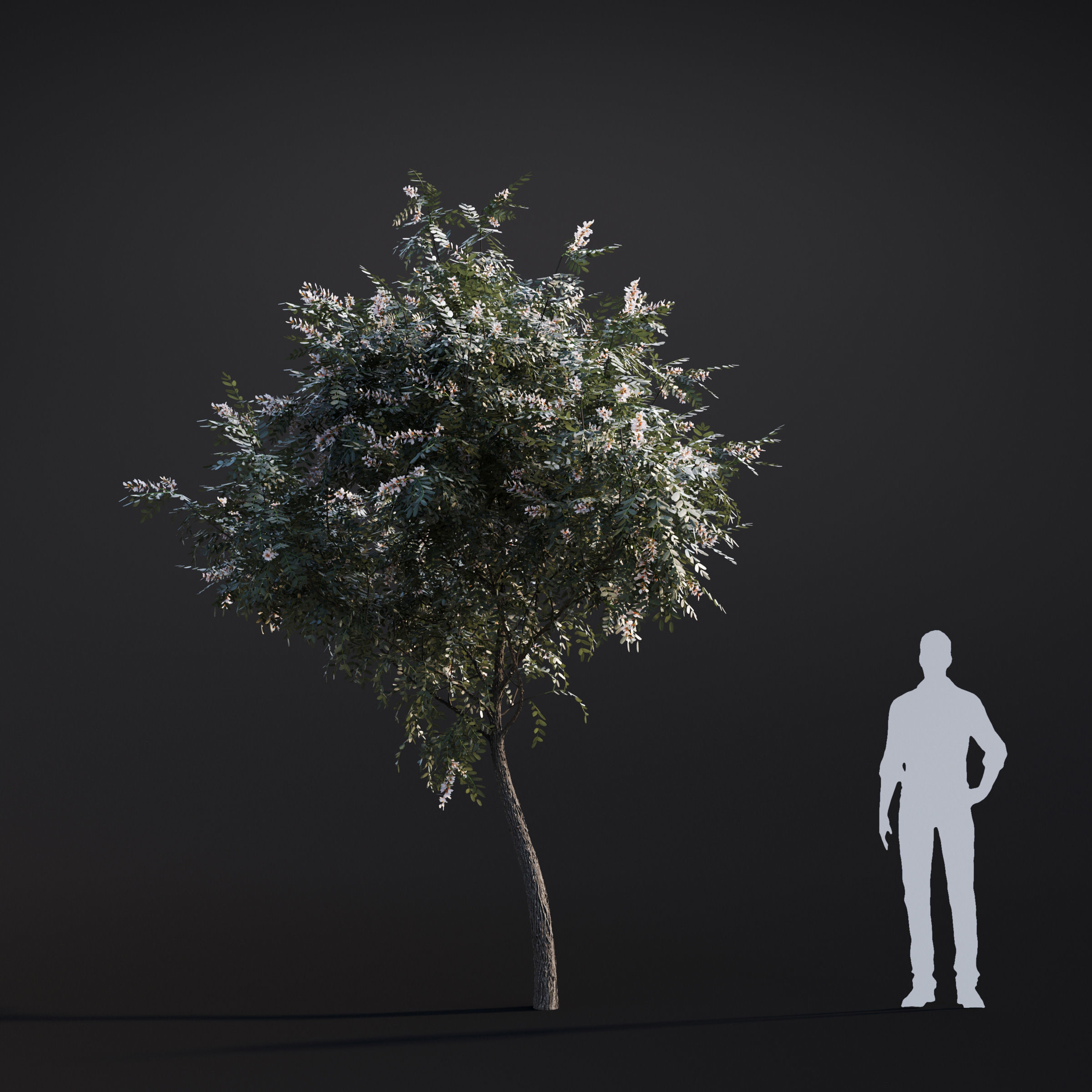 Archmodels vol 283 - collection of spring trees 3D model_48