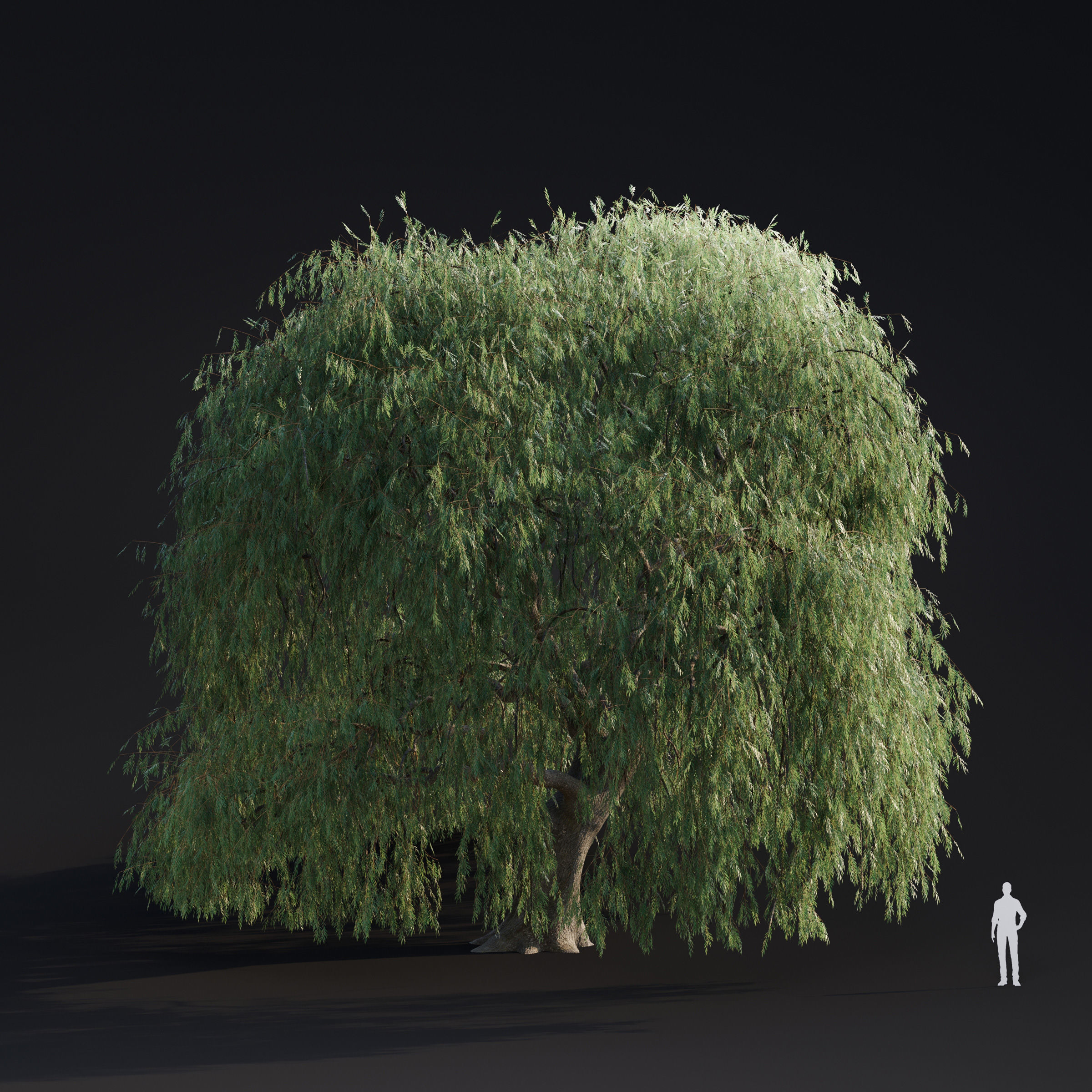 Archmodels vol 283 - collection of spring trees 3D model_20
