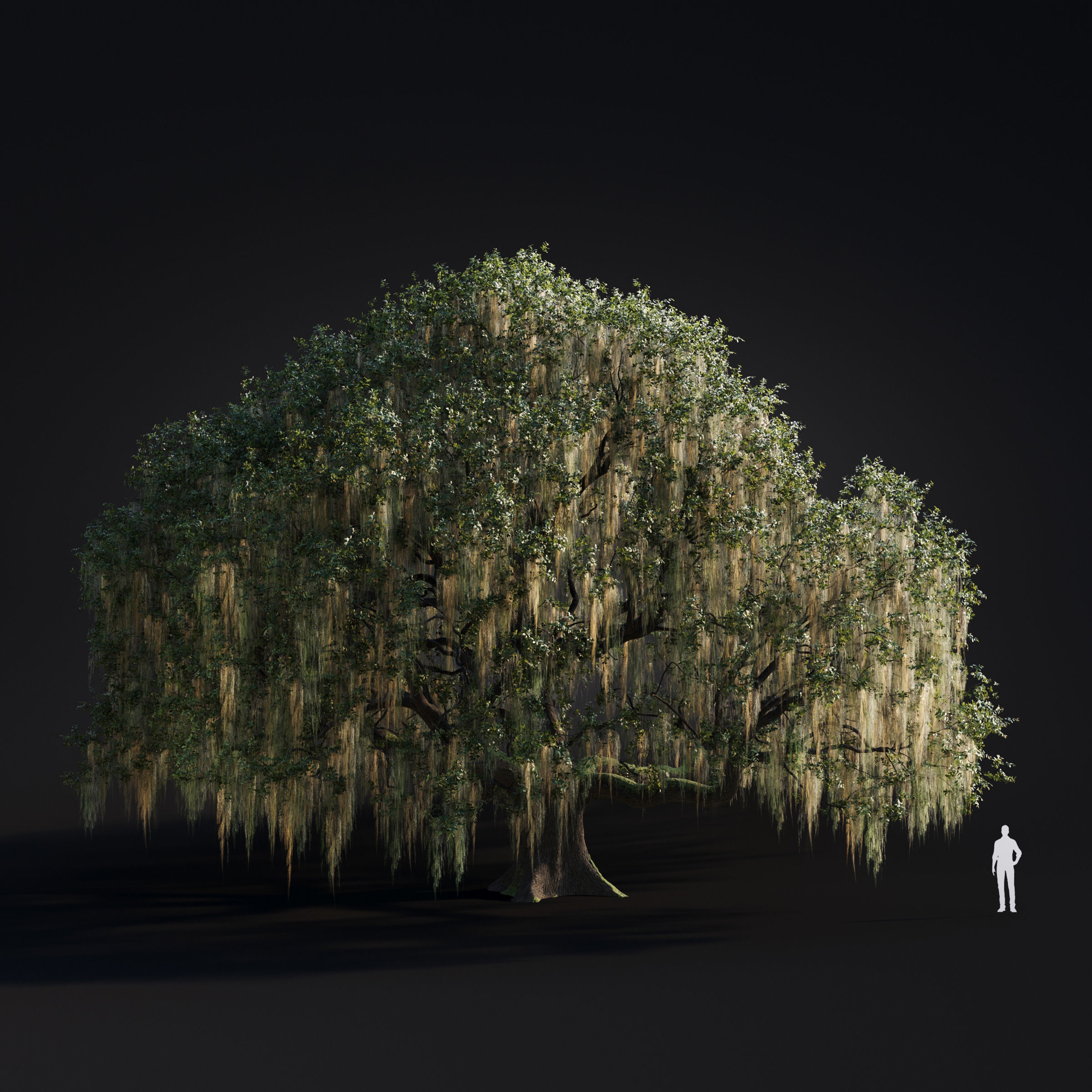 Archmodels vol 283 - collection of spring trees 3D model_55