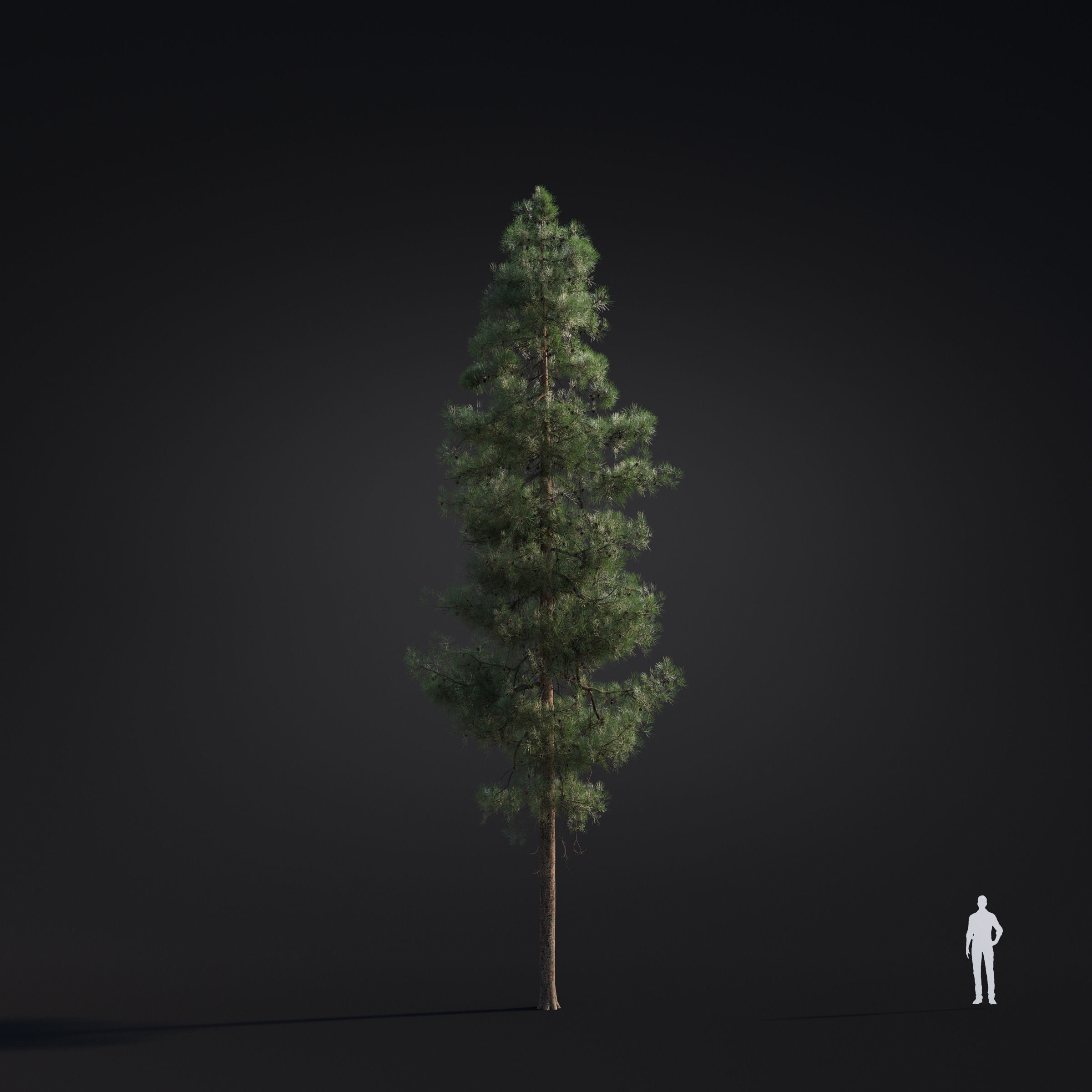 Archmodels vol 283 - collection of spring trees 3D model_29