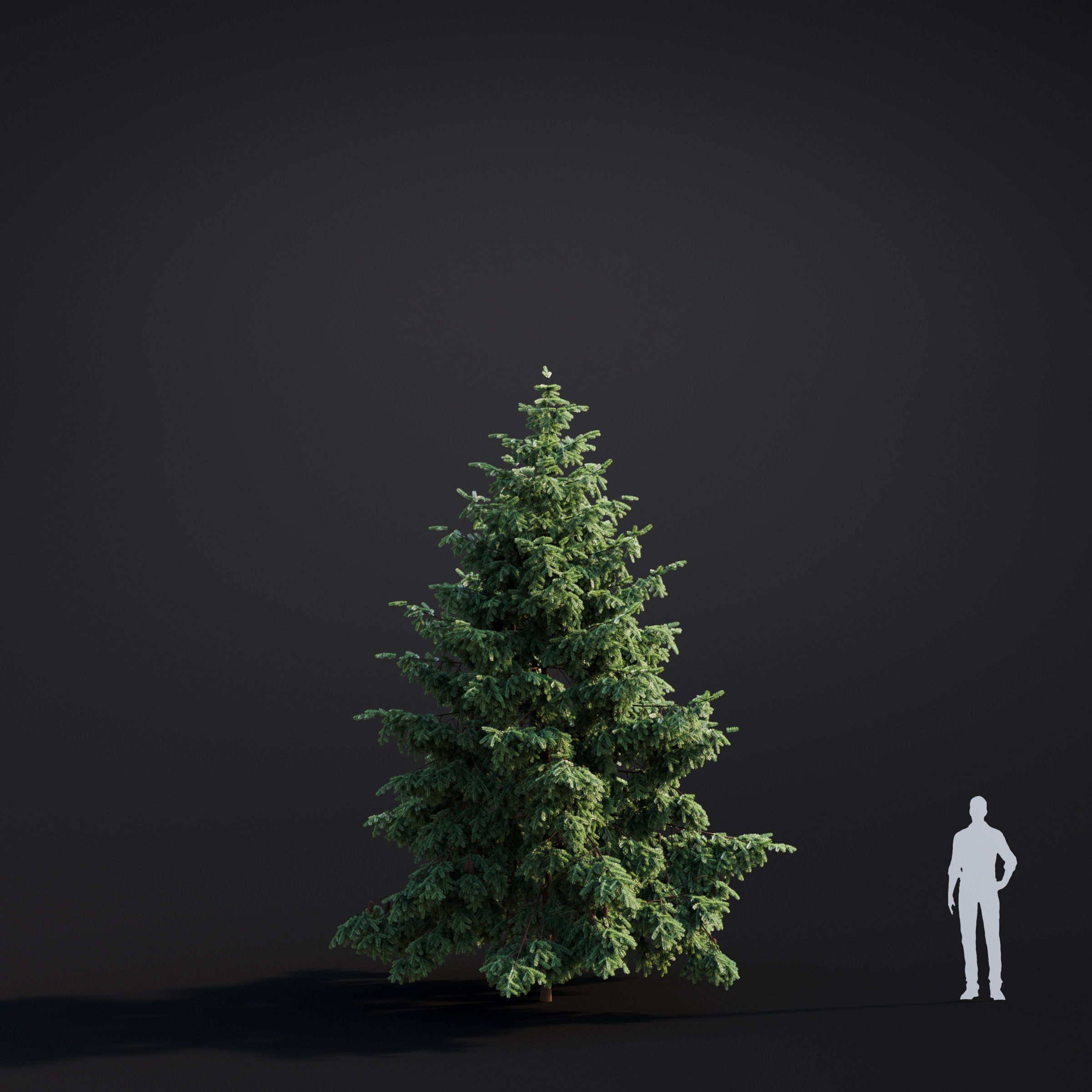 Archmodels vol 283 - collection of spring trees 3D model_35