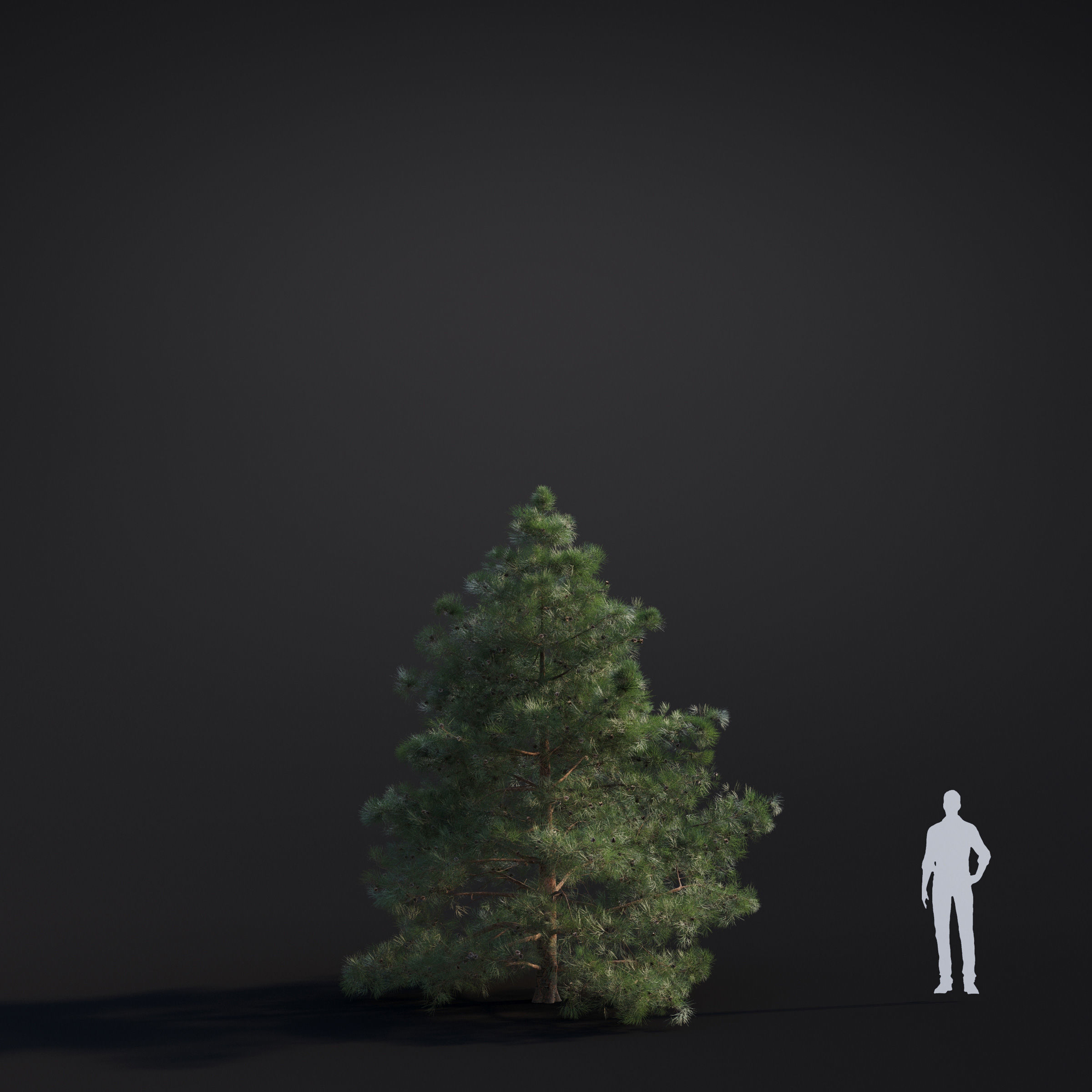 Archmodels vol 283 - collection of spring trees 3D model_32