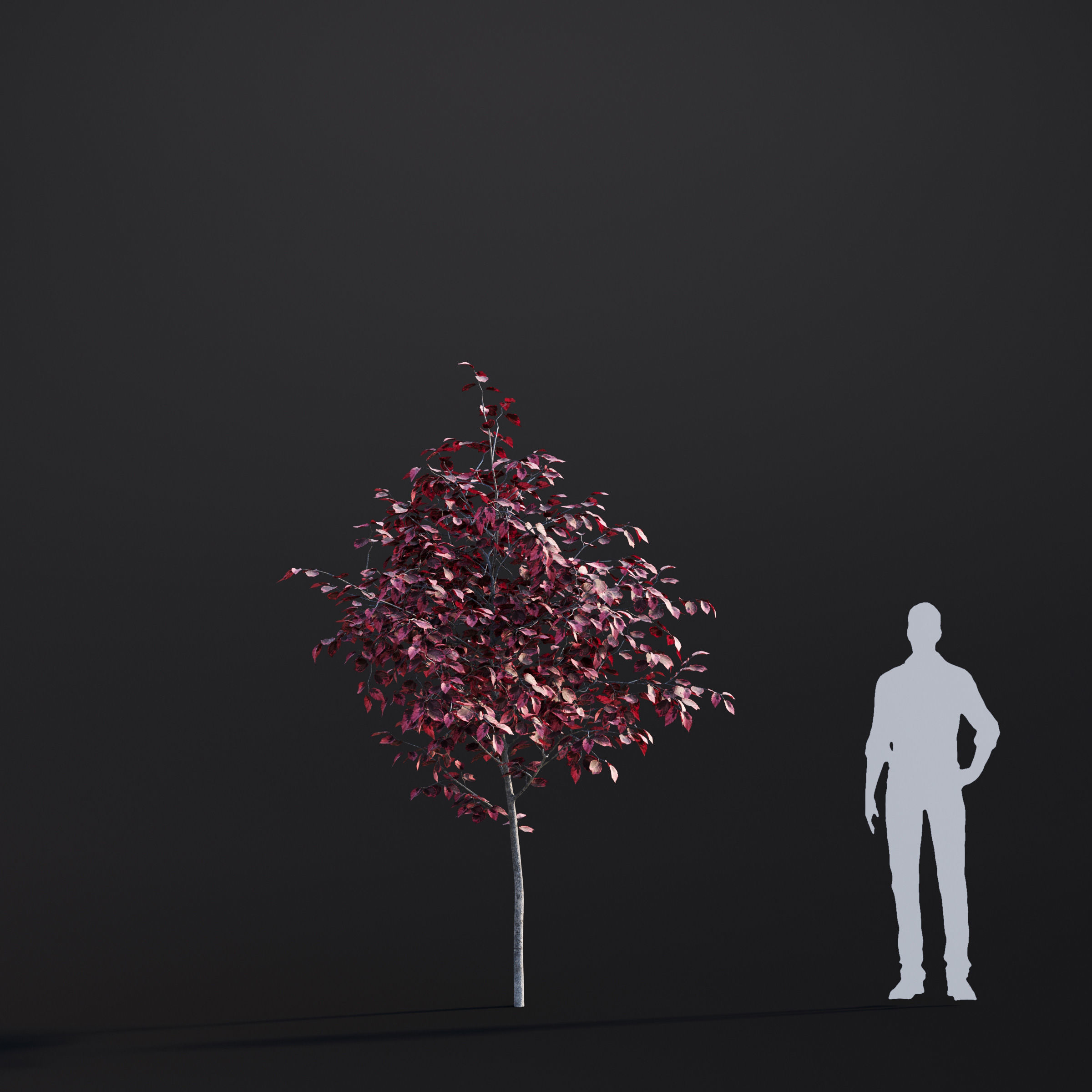 Archmodels vol 283 - collection of spring trees 3D model_38