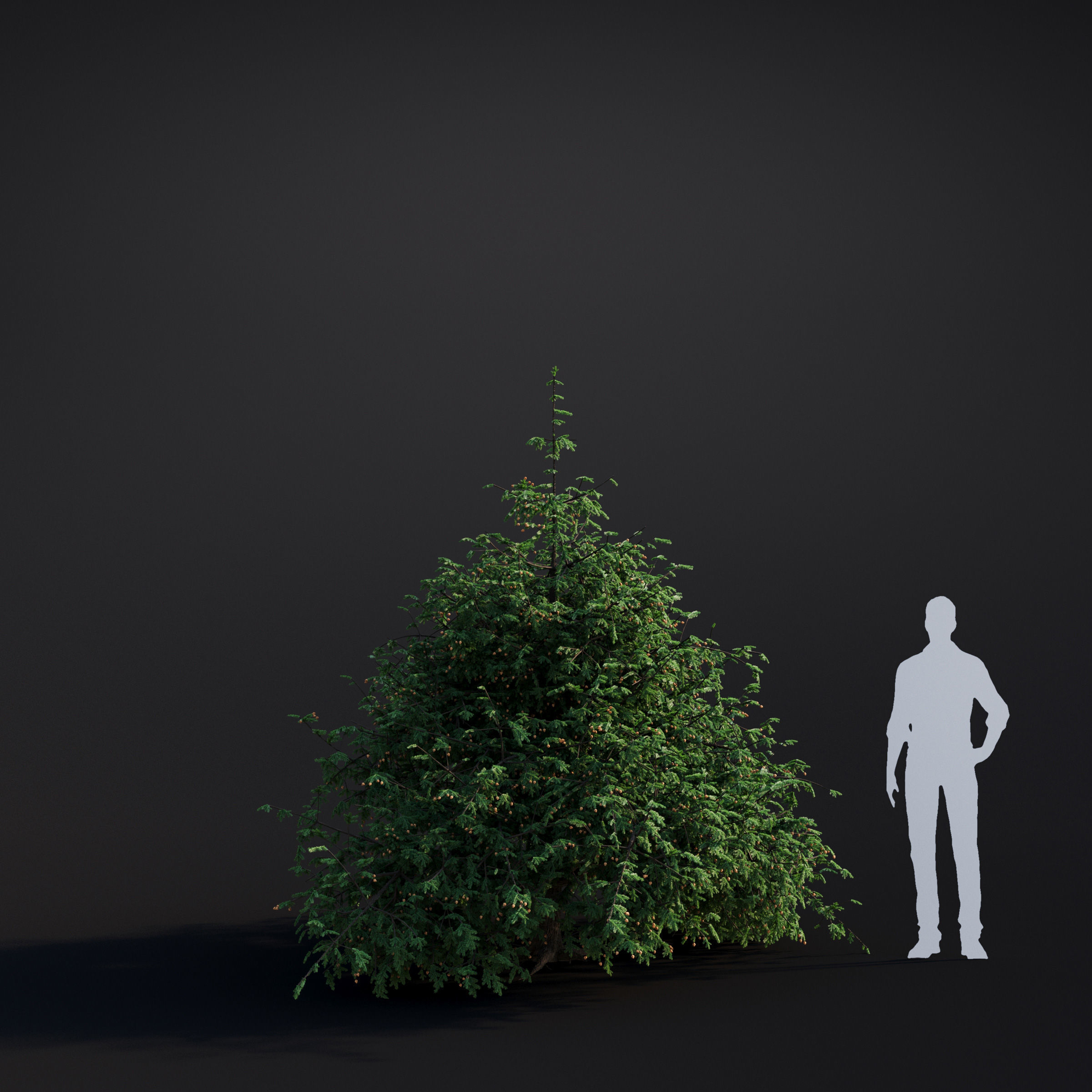 Archmodels vol 283 - collection of spring trees 3D model_44