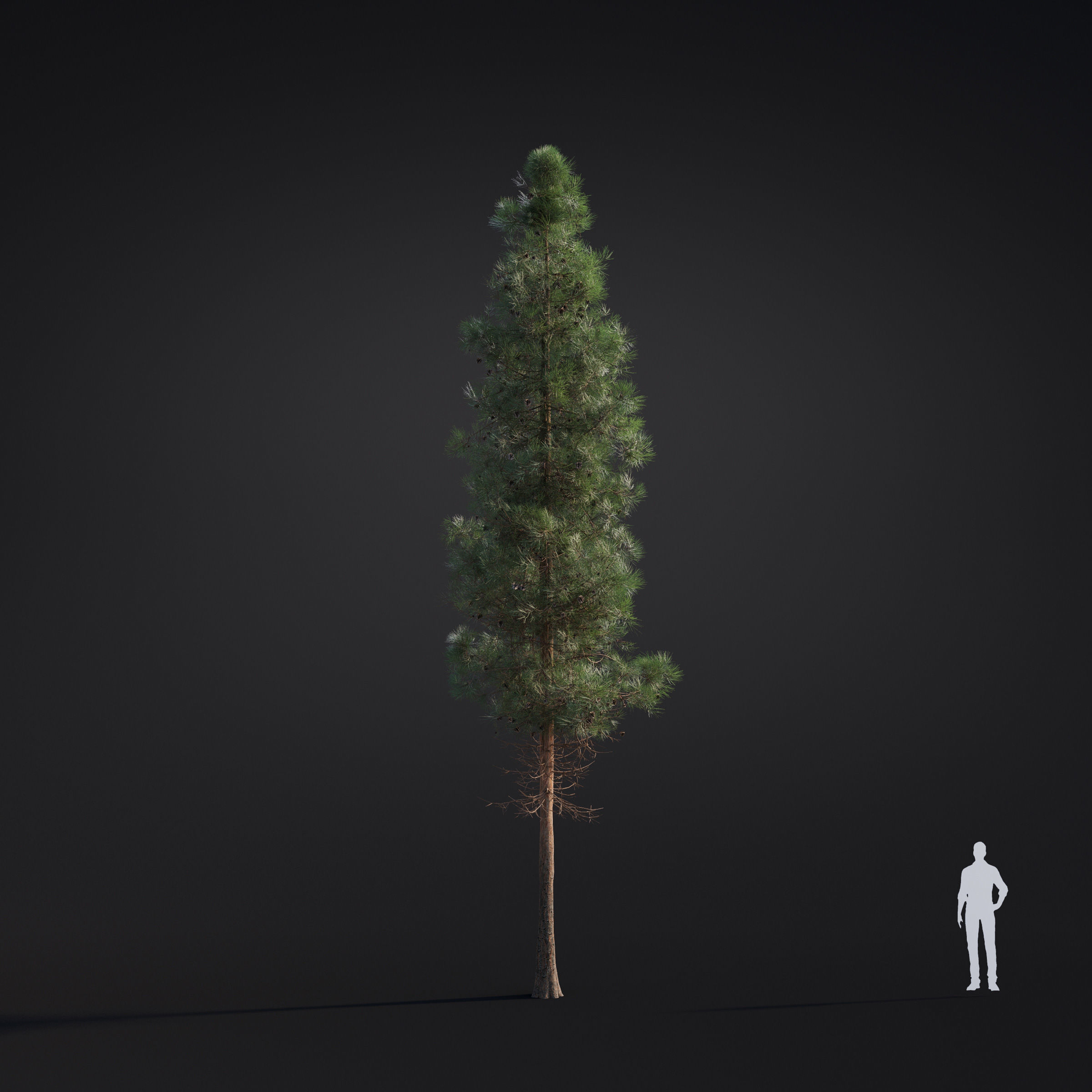 Archmodels vol 283 - collection of spring trees 3D model_30