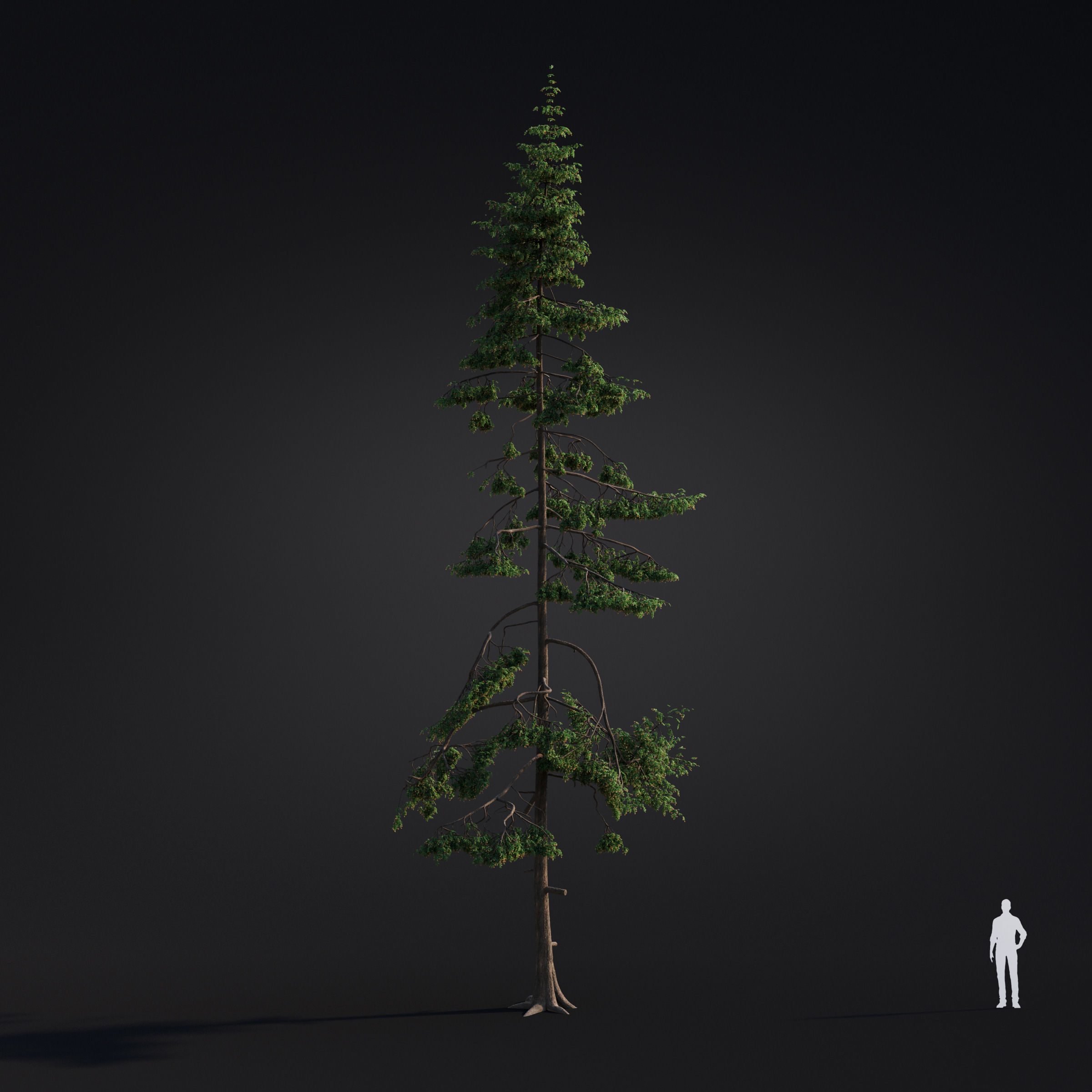 Archmodels vol 283 - collection of spring trees 3D model_41