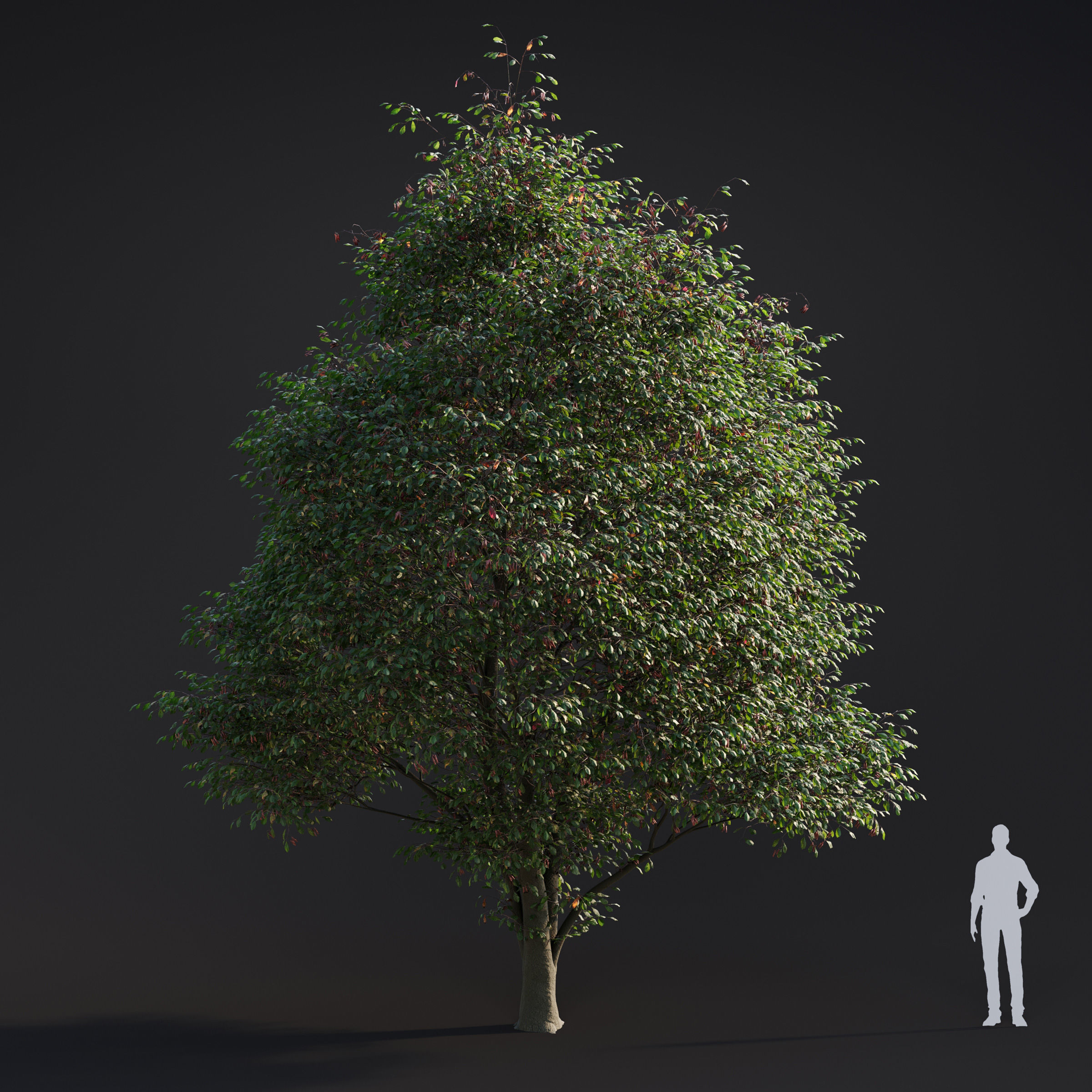 Archmodels vol 283 - collection of spring trees 3D model_1