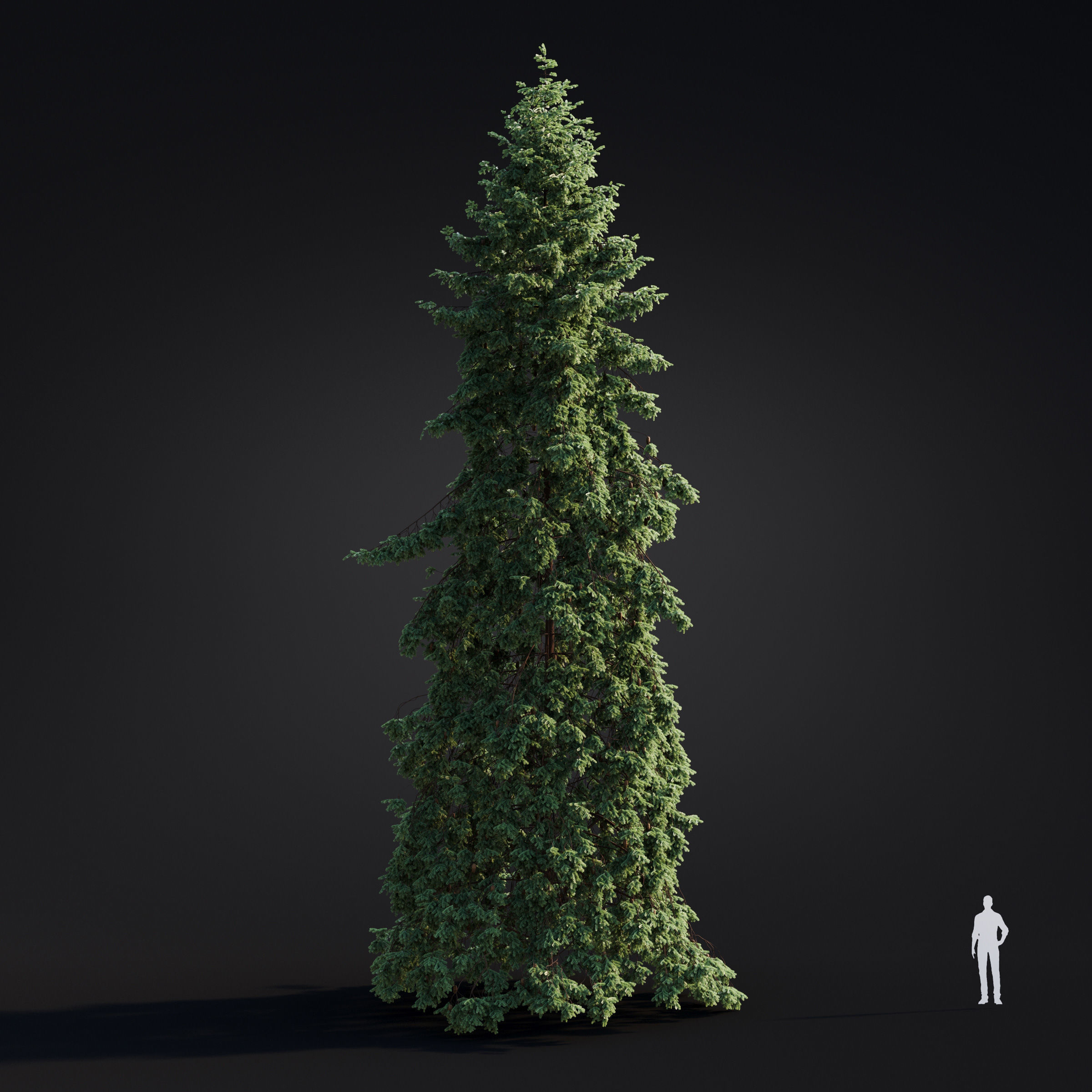 Archmodels vol 283 - collection of spring trees 3D model_33