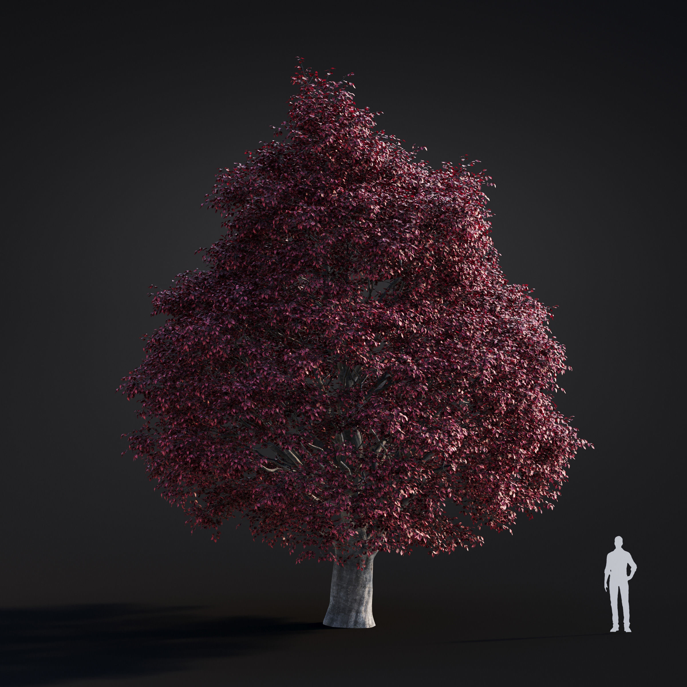 Archmodels vol 283 - collection of spring trees 3D model_40