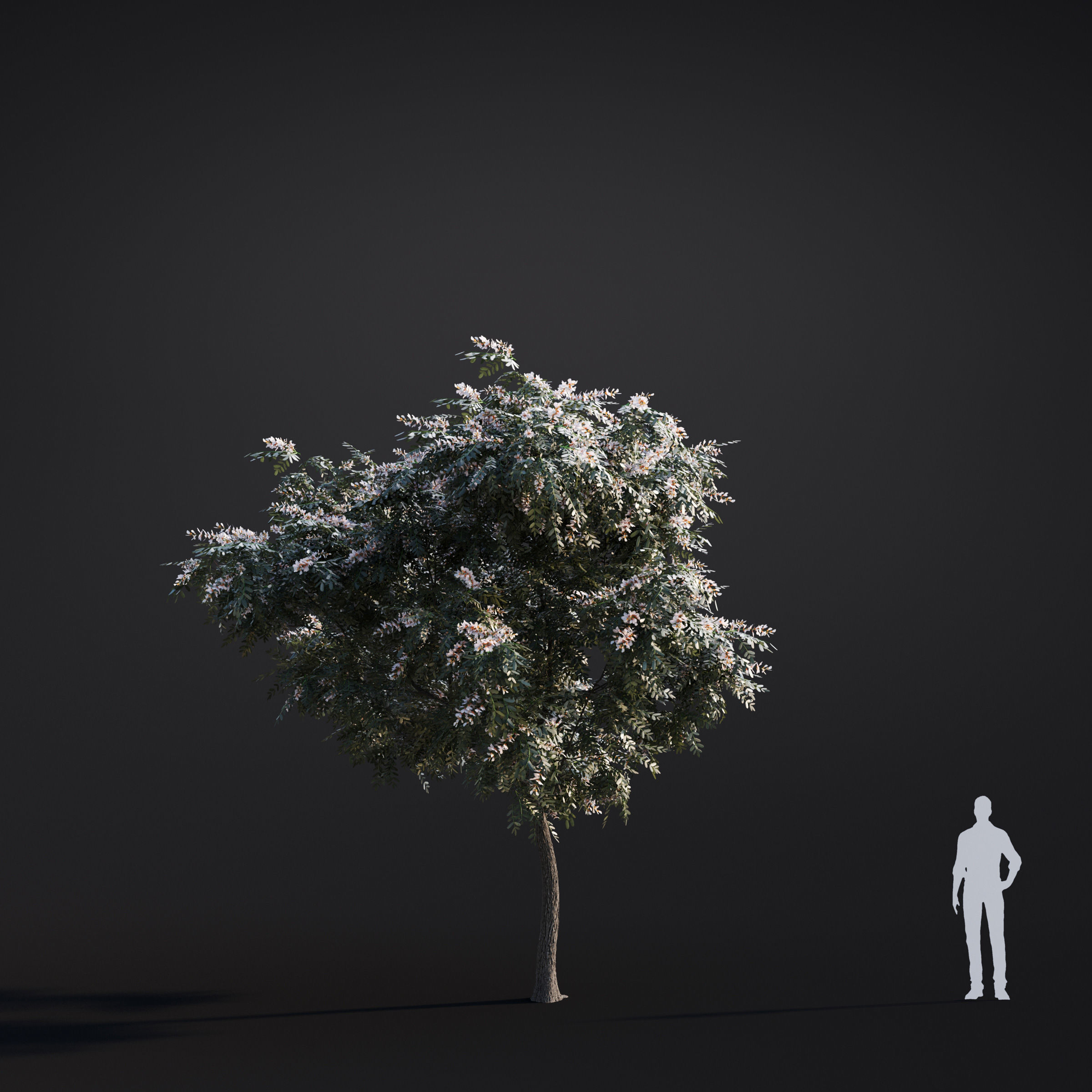 Archmodels vol 283 - collection of spring trees 3D model_47