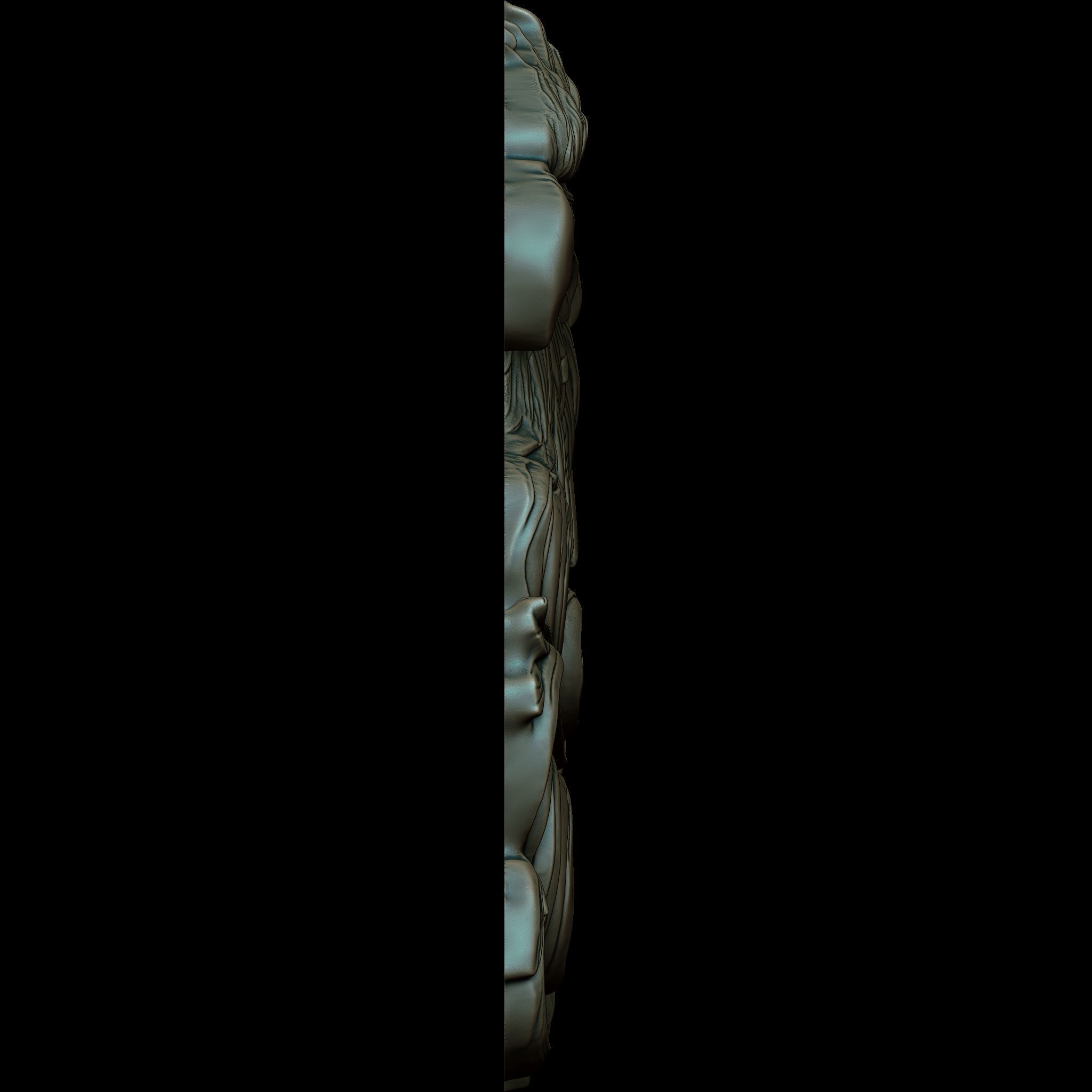 Eagle Head Relief No1 STL file for 3d Printing or CNC 3D print model_8