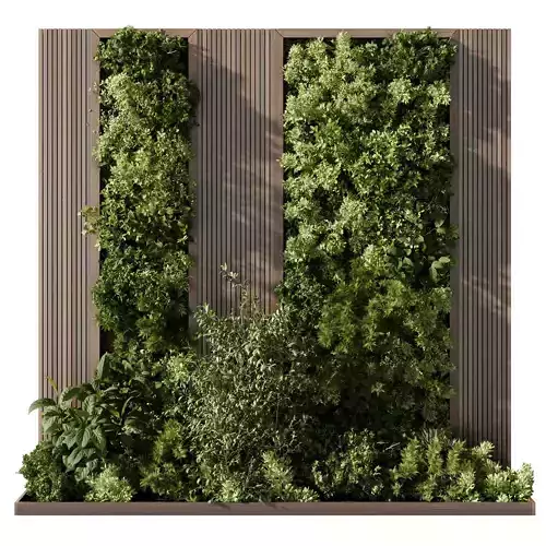 Vertical Wall Garden With Wooden frame - Horizontal garden 