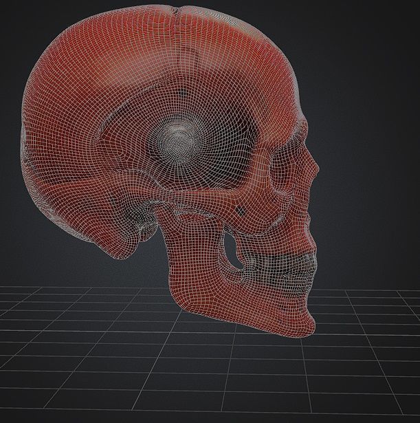 Realistic Robotic Skull and Meaty Horror Game Asset Low-poly 3D model_4