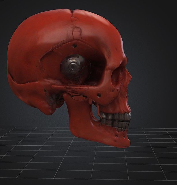 Realistic Robotic Skull and Meaty Horror Game Asset Low-poly 3D model_1
